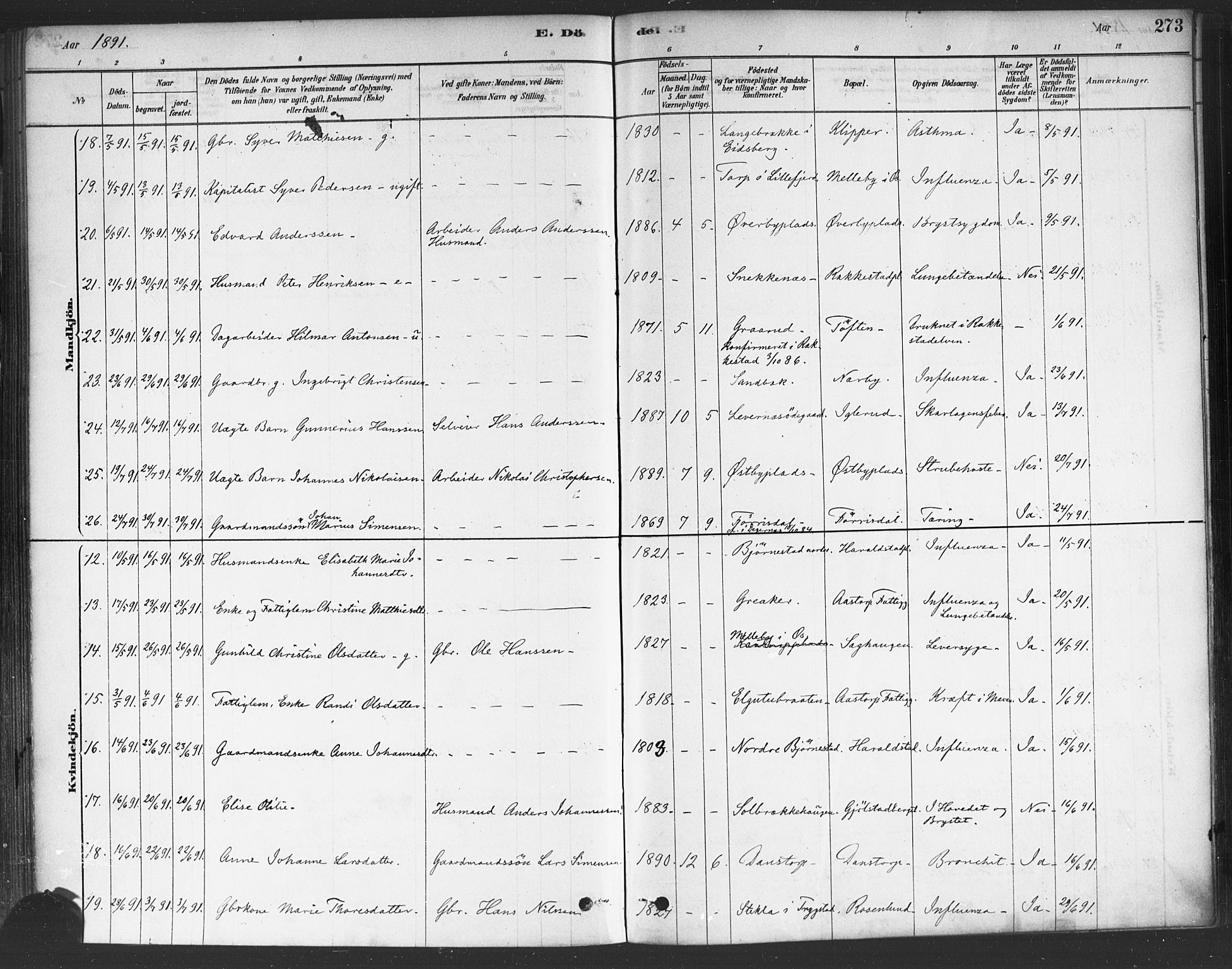 Rakkestad prestekontor Kirkebøker, AV/SAO-A-2008/F/Fa/L0012: Parish register (official) no. I 12, 1878-1893, p. 273