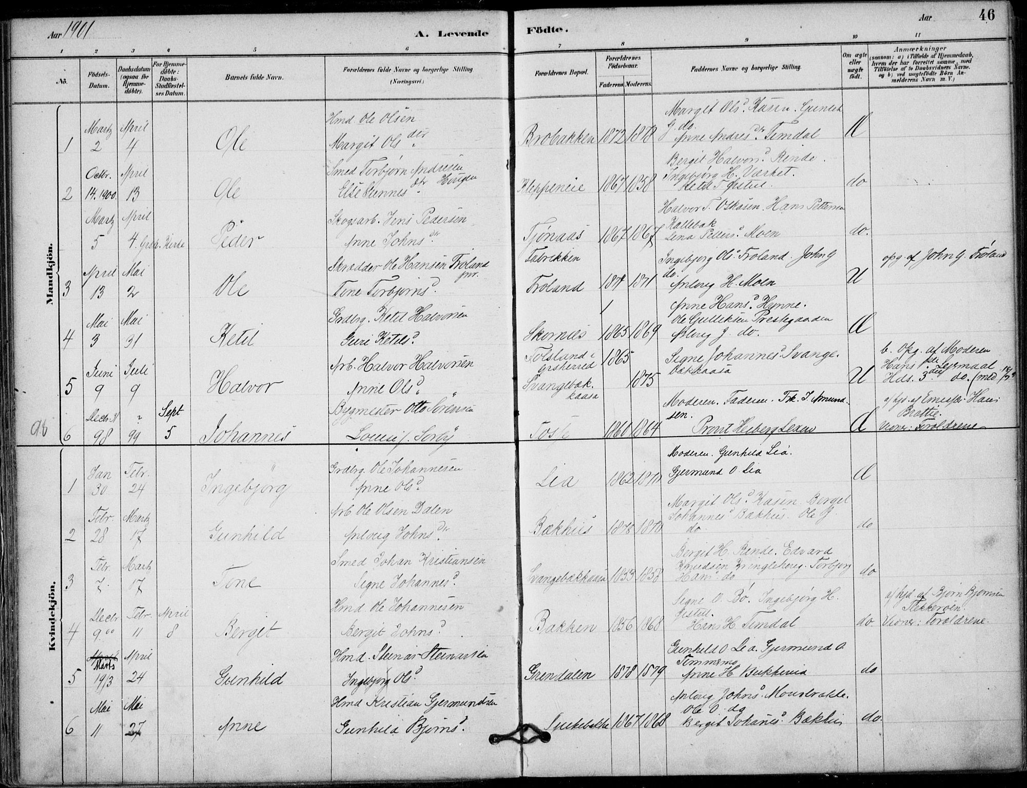 Hjartdal kirkebøker, SAKO/A-270/F/Fb/L0002: Parish register (official) no. II 2, 1880-1932, p. 46