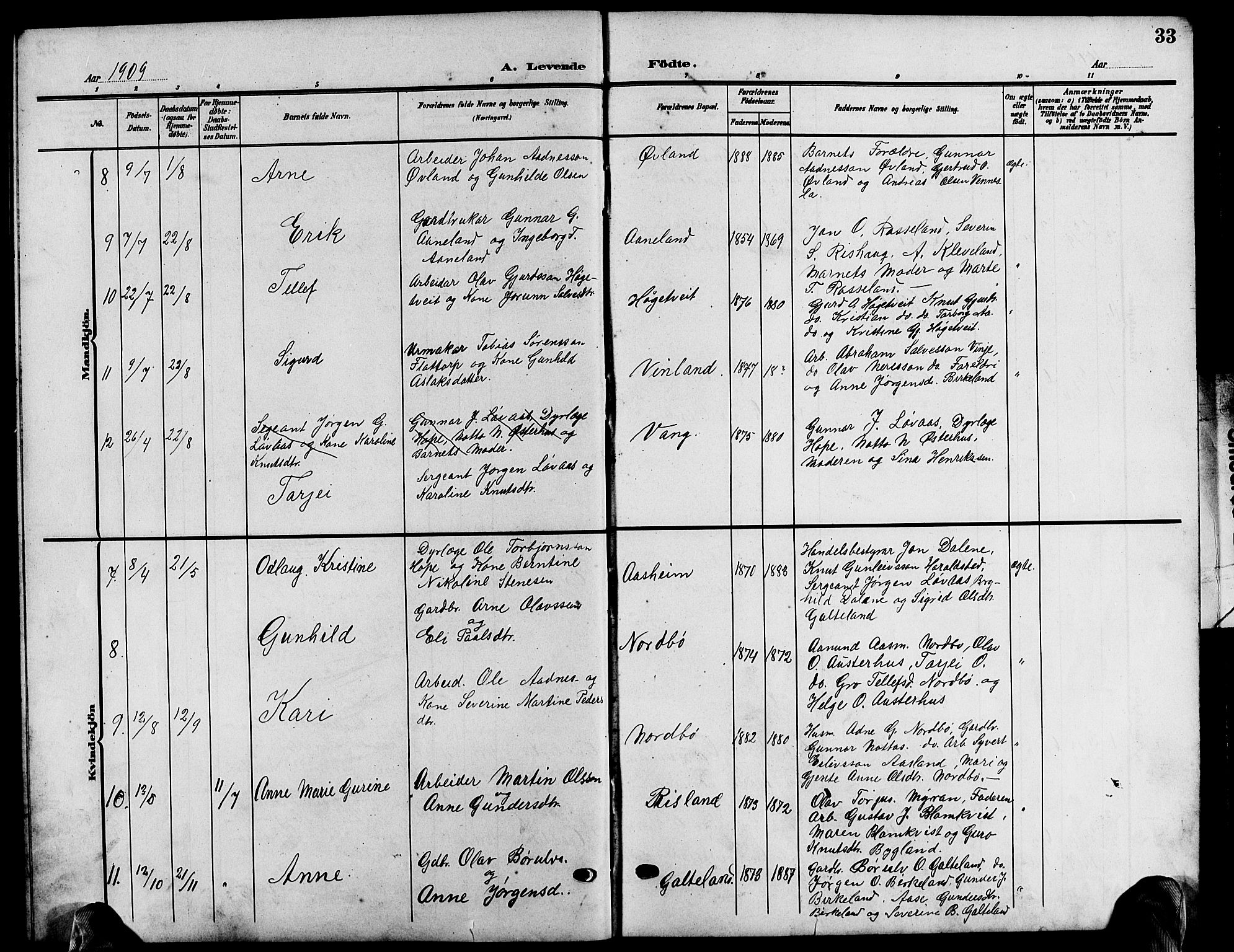 Evje sokneprestkontor, AV/SAK-1111-0008/F/Fb/Fba/L0004: Parish register (copy) no. B 4, 1899-1914, p. 33