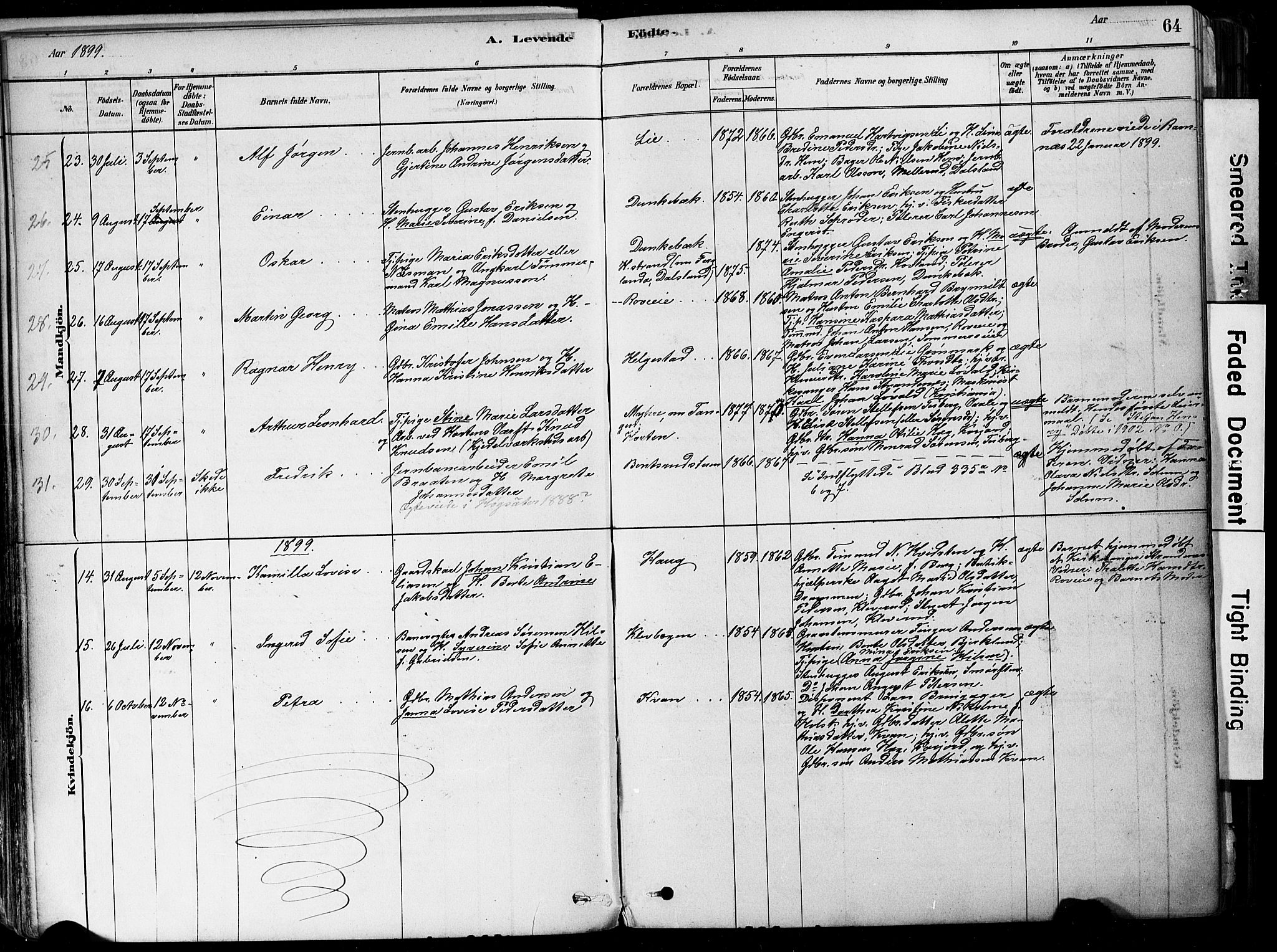 Botne kirkebøker, AV/SAKO-A-340/F/Fa/L0007: Parish register (official) no. I 7, 1878-1910, p. 64