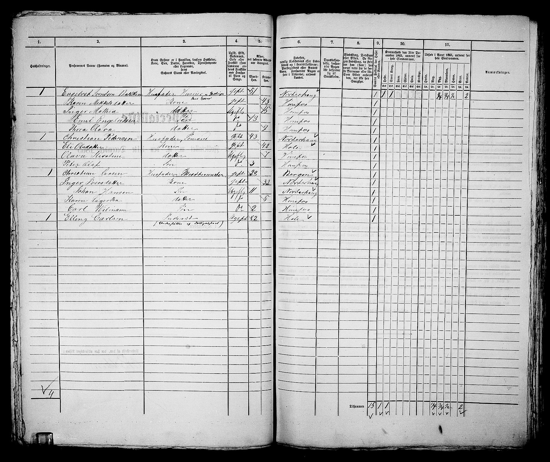 RA, 1865 census for Norderhov/Hønefoss, 1865, p. 204