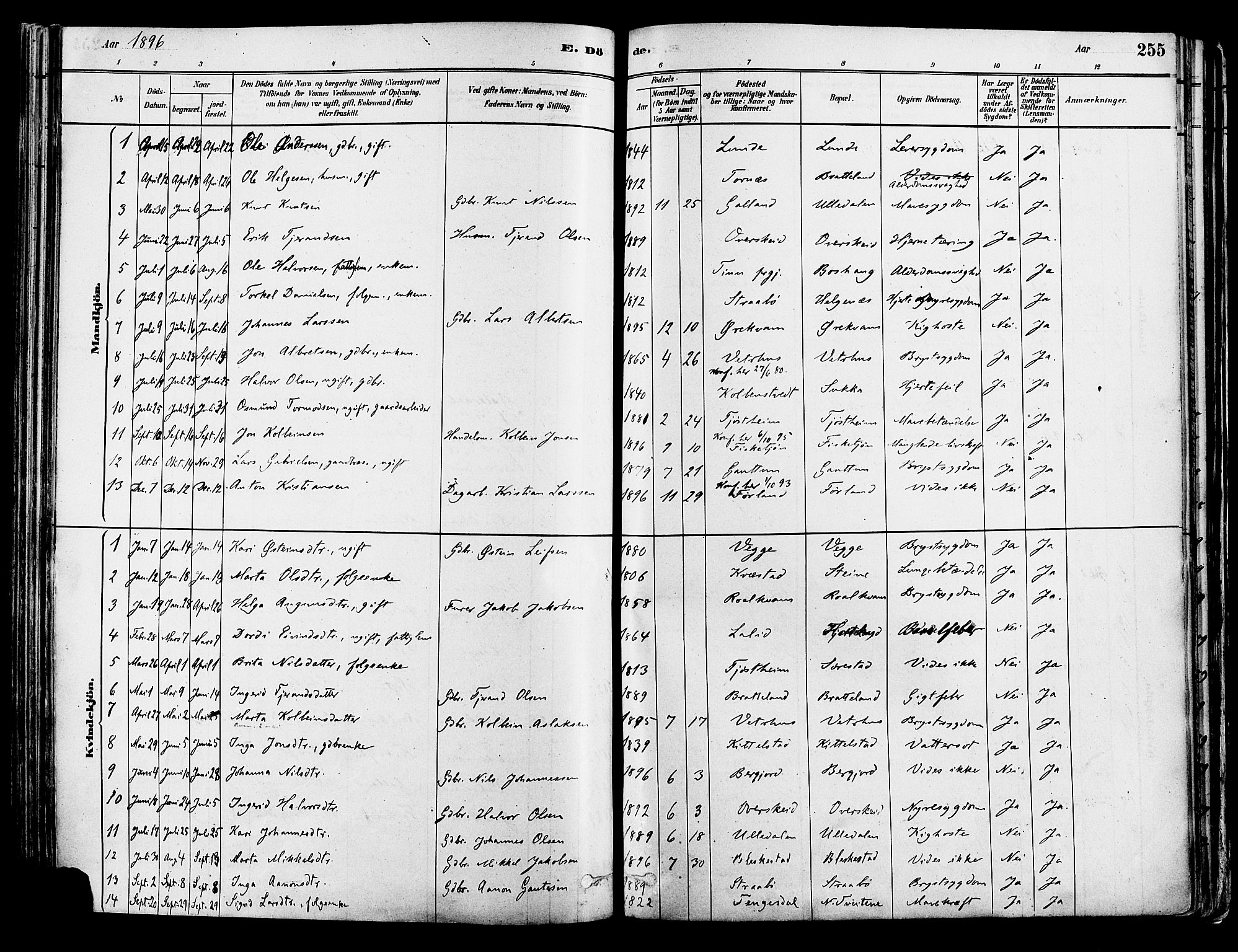 Suldal sokneprestkontor, AV/SAST-A-101845/01/IV/L0011: Parish register (official) no. A 11, 1878-1900, p. 255