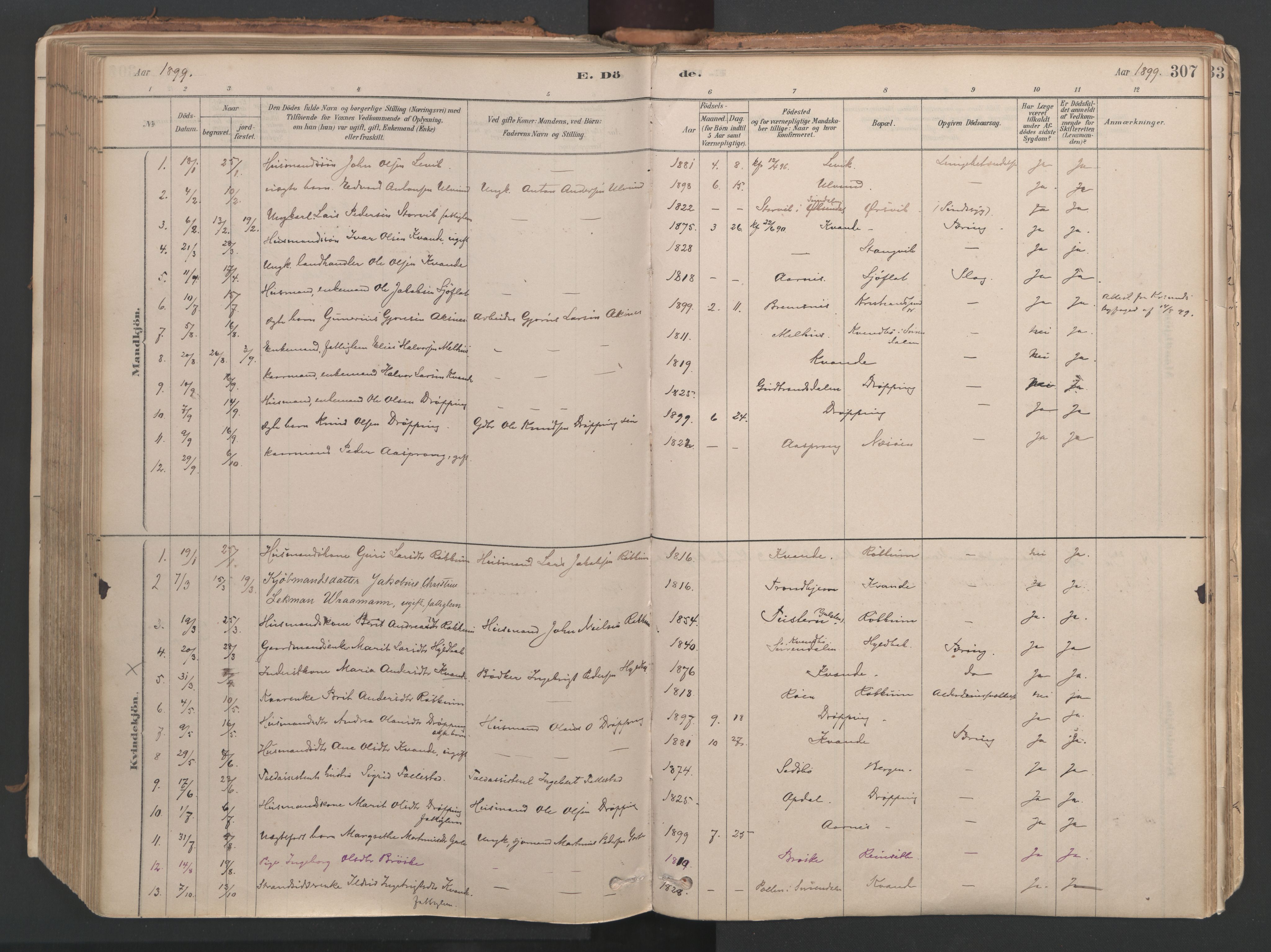 Ministerialprotokoller, klokkerbøker og fødselsregistre - Møre og Romsdal, AV/SAT-A-1454/592/L1029: Parish register (official) no. 592A07, 1879-1902, p. 307