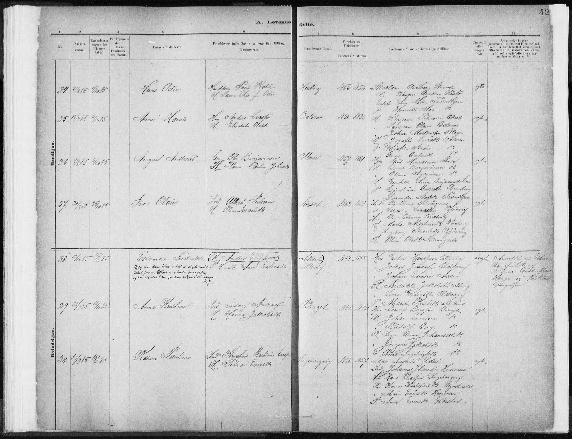 Ministerialprotokoller, klokkerbøker og fødselsregistre - Sør-Trøndelag, SAT/A-1456/637/L0558: Parish register (official) no. 637A01, 1882-1899, p. 42