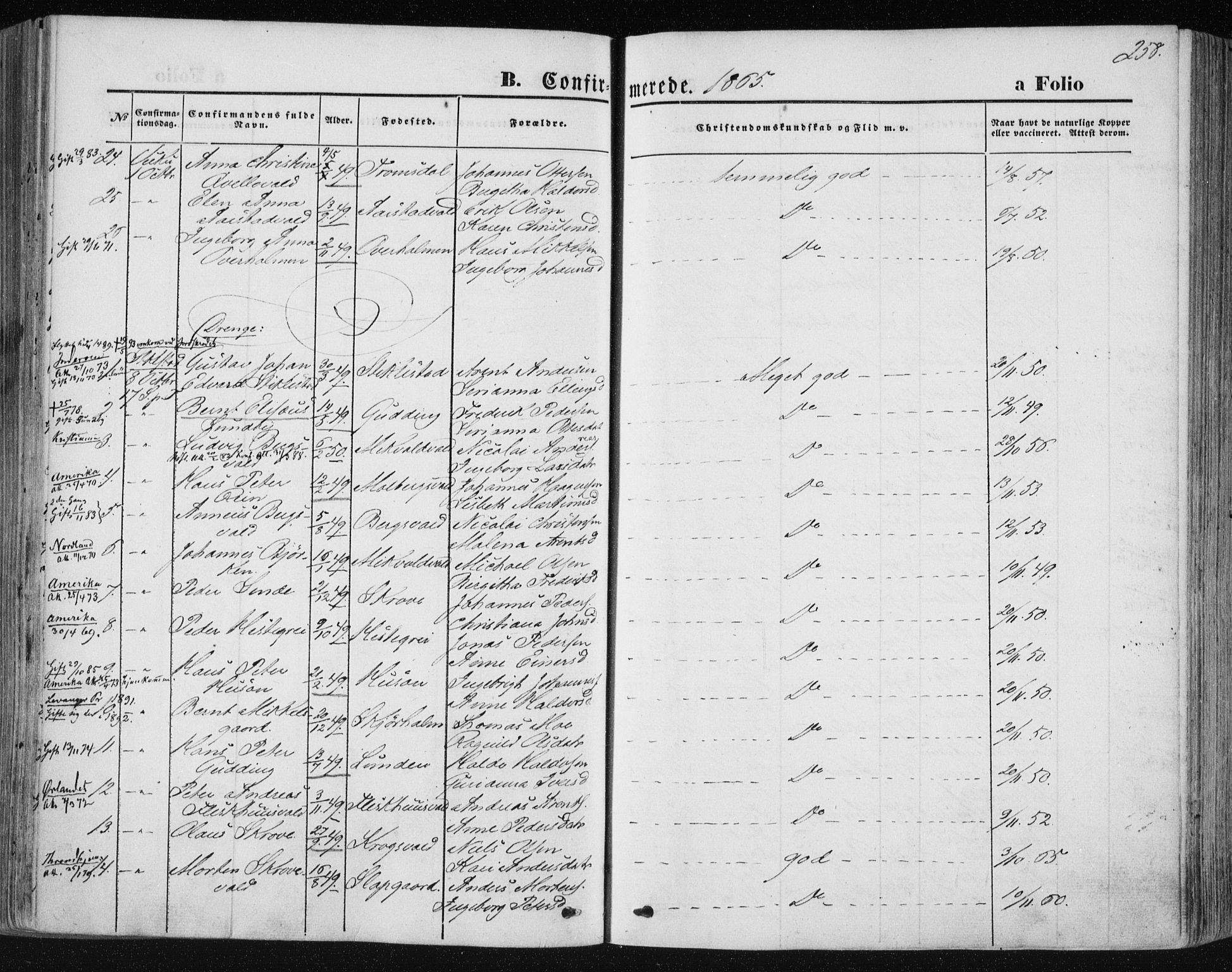 Ministerialprotokoller, klokkerbøker og fødselsregistre - Nord-Trøndelag, AV/SAT-A-1458/723/L0241: Parish register (official) no. 723A10, 1860-1869, p. 258