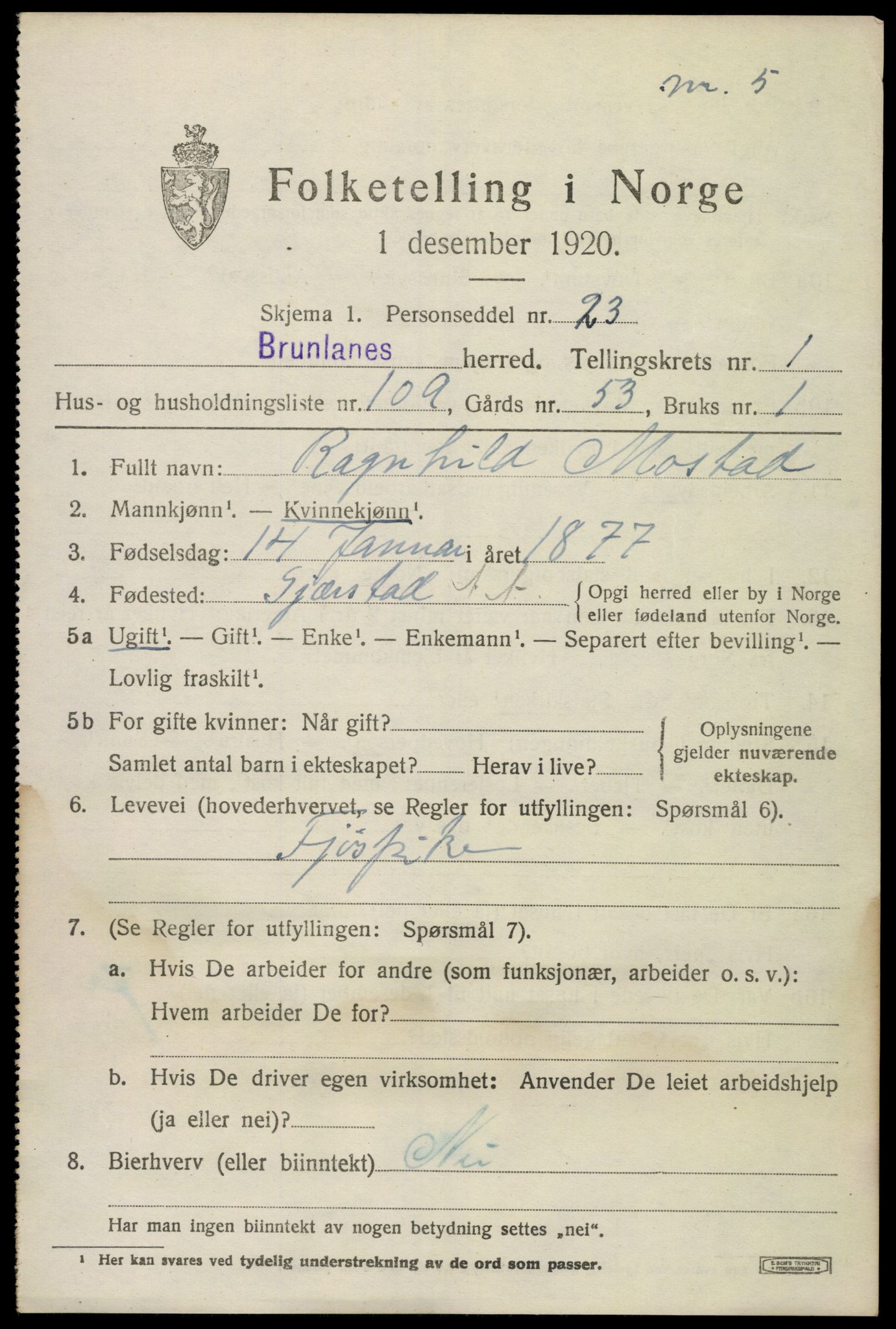 SAKO, 1920 census for Brunlanes, 1920, p. 3173