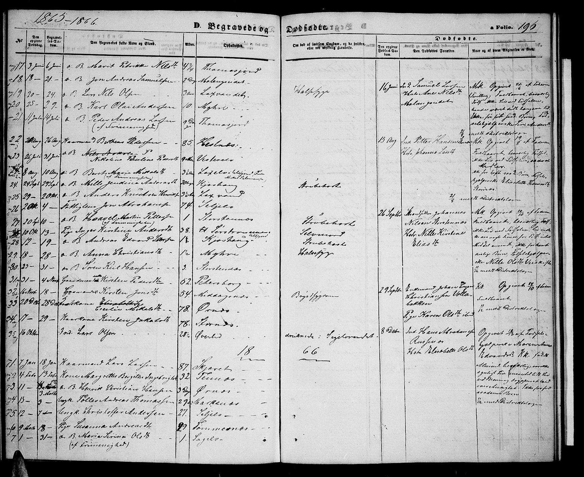 Balsfjord sokneprestembete, AV/SATØ-S-1303/G/Gab/L0006klokker: Parish register (copy) no. 6, 1863-1878, p. 196