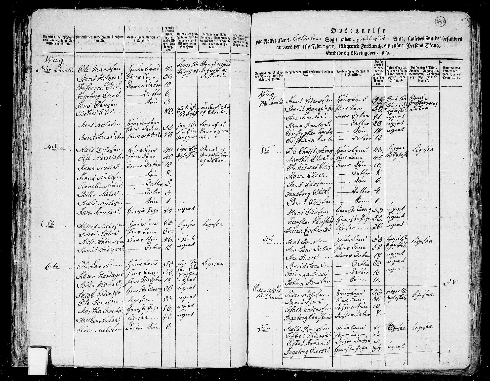 RA, 1801 census for 1840P Saltdal, 1801, p. 399b-400a