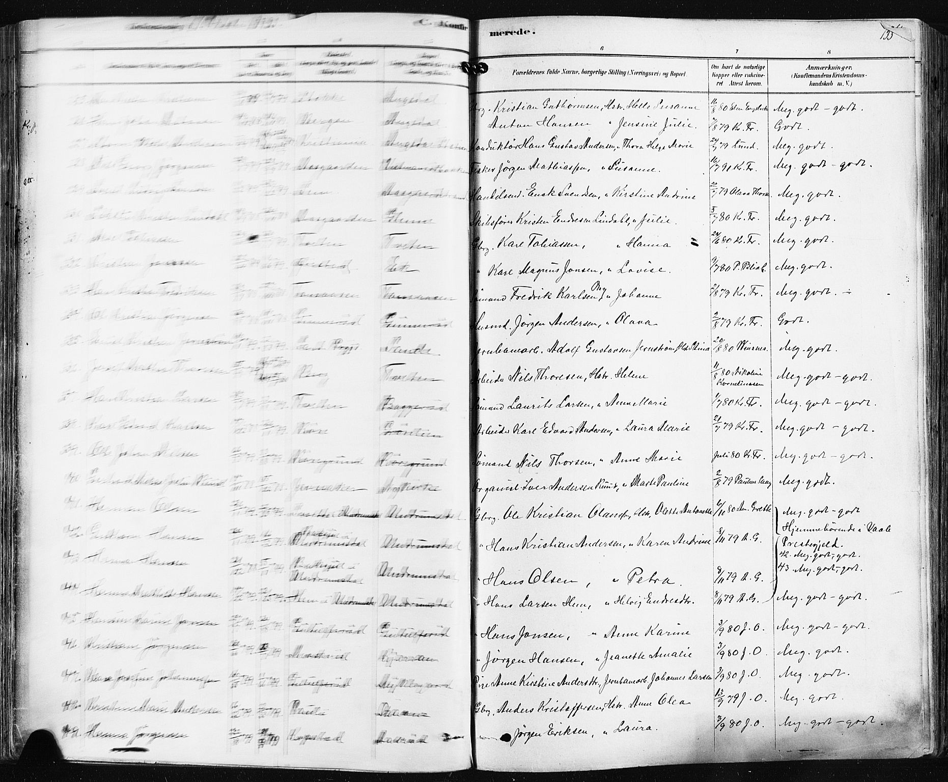 Borre kirkebøker, SAKO/A-338/F/Fa/L0009: Parish register (official) no. I 9, 1878-1896, p. 133