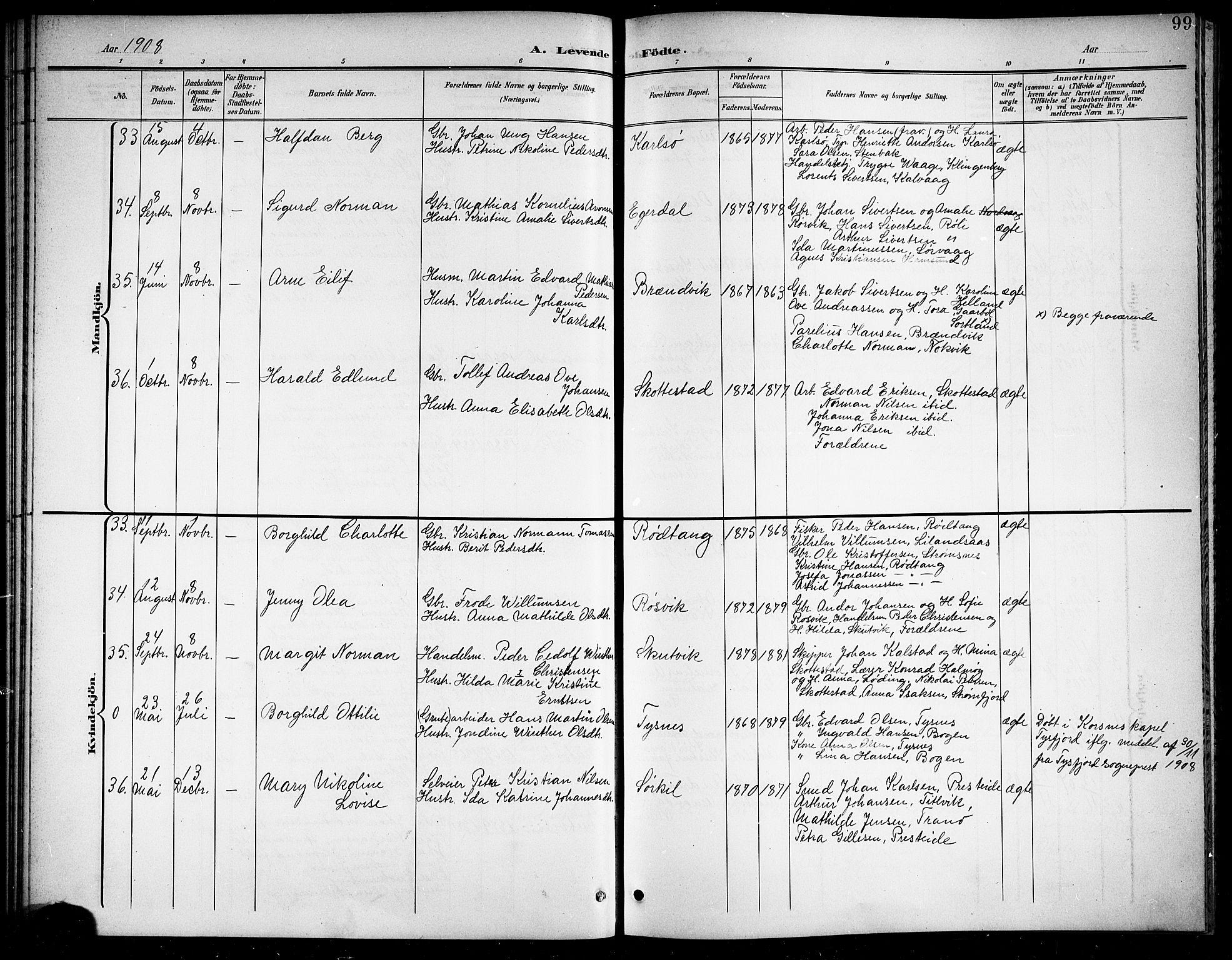 Ministerialprotokoller, klokkerbøker og fødselsregistre - Nordland, AV/SAT-A-1459/859/L0860: Parish register (copy) no. 859C06, 1899-1909, p. 99