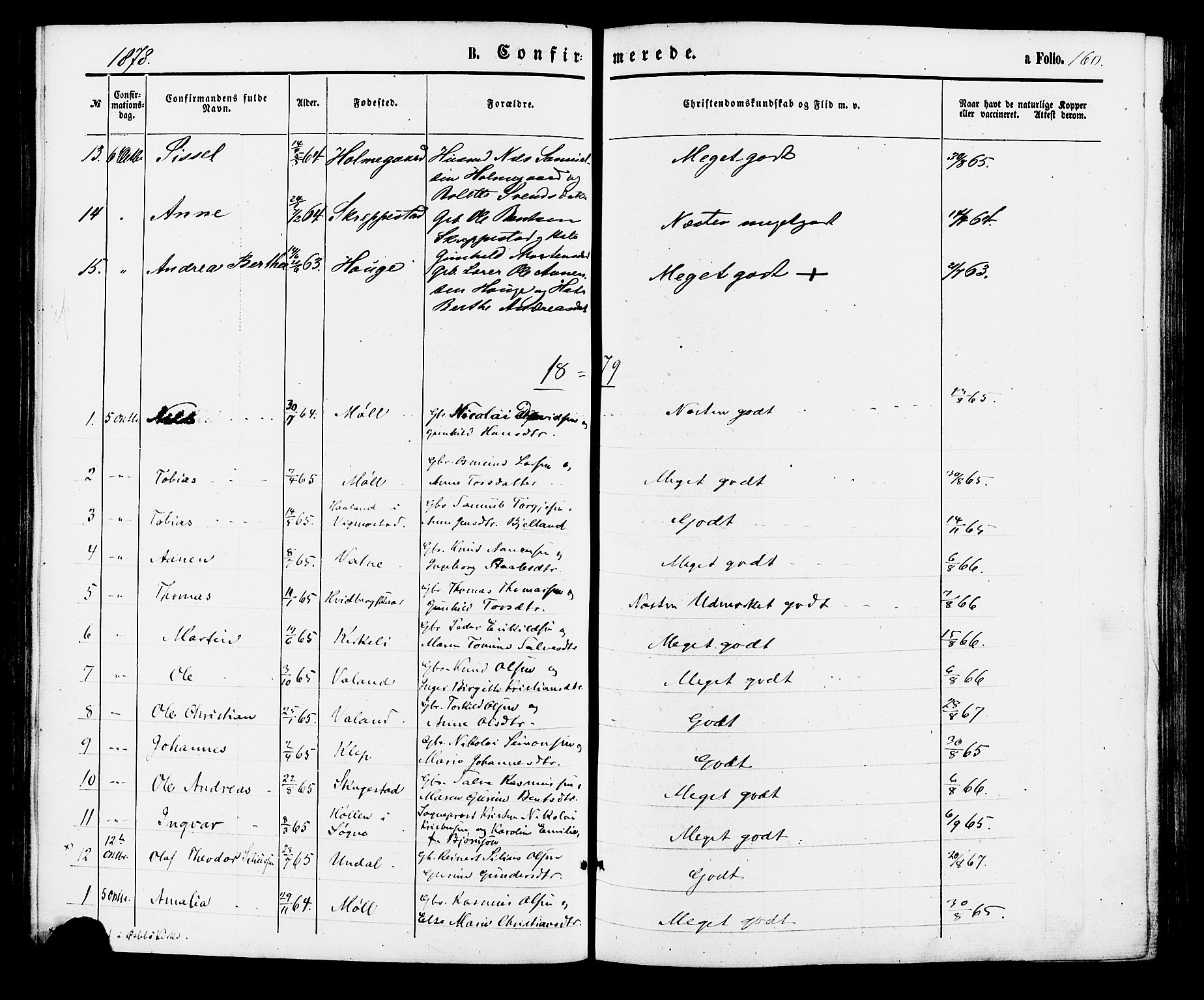Holum sokneprestkontor, AV/SAK-1111-0022/F/Fa/Faa/L0006: Parish register (official) no. A 6, 1865-1883, p. 160