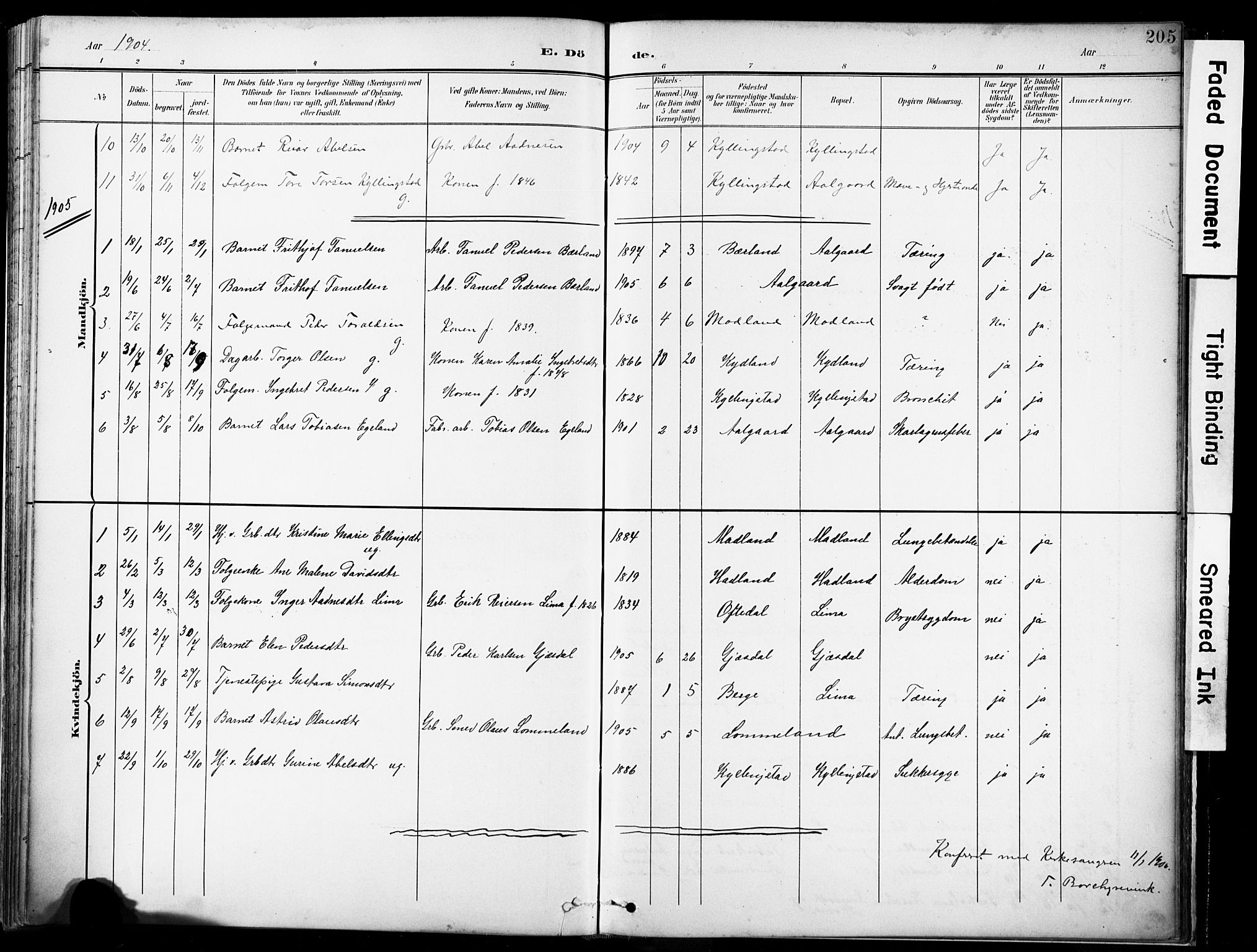 Lye sokneprestkontor, AV/SAST-A-101794/001/30BA/L0012: Parish register (official) no. A 11, 1896-1909, p. 205