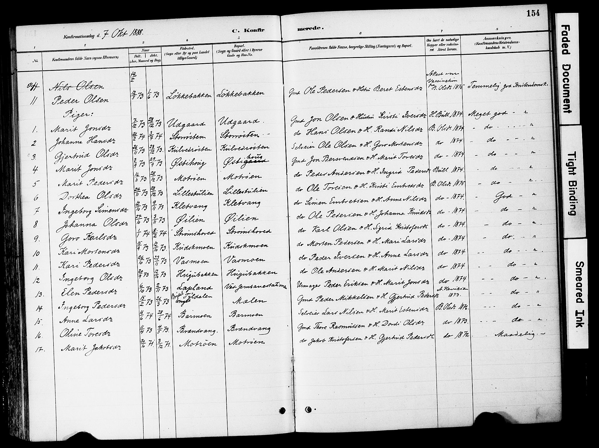 Tynset prestekontor, SAH/PREST-058/H/Ha/Haa/L0022: Parish register (official) no. 22, 1880-1899, p. 154