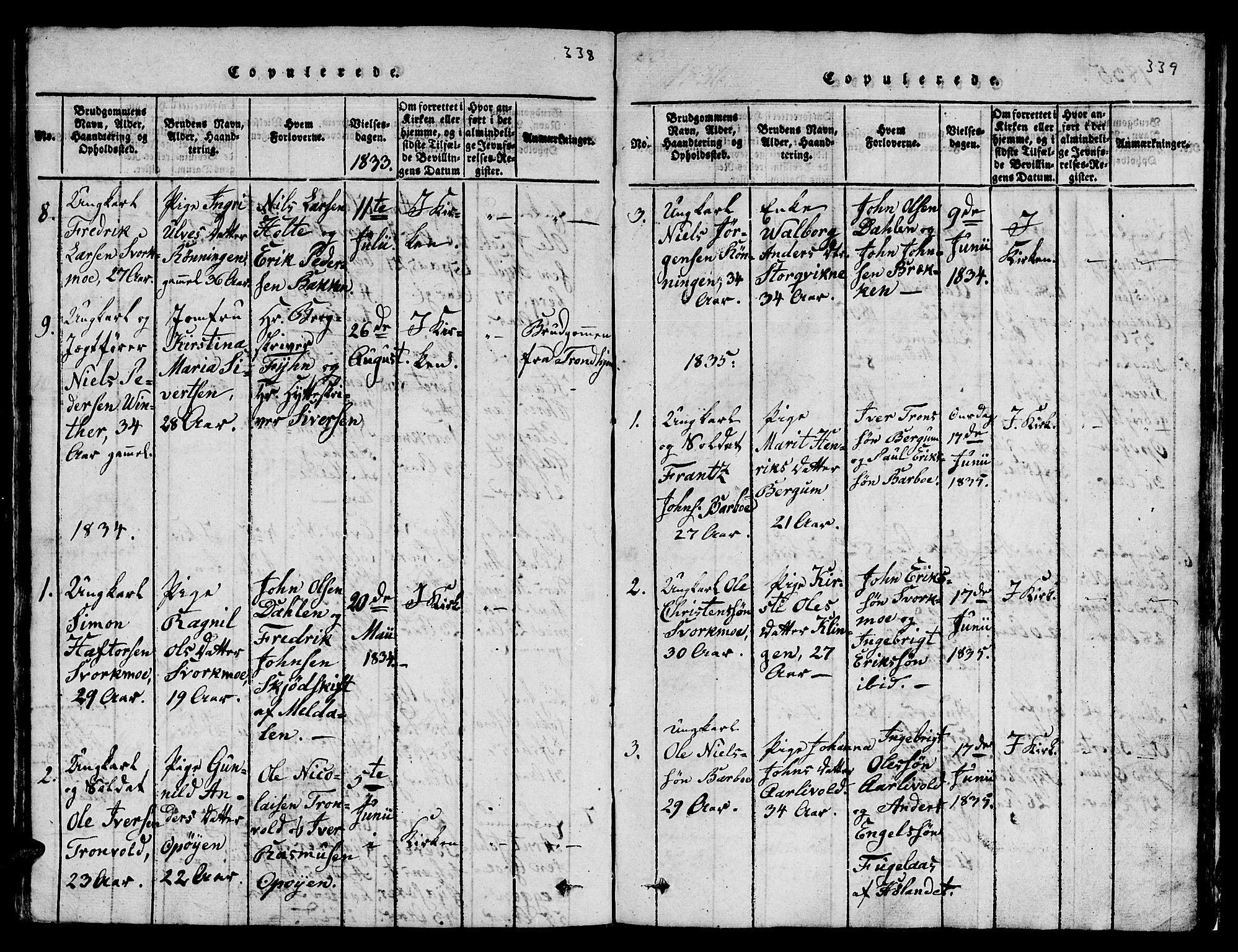 Ministerialprotokoller, klokkerbøker og fødselsregistre - Sør-Trøndelag, SAT/A-1456/671/L0842: Parish register (copy) no. 671C01, 1816-1867, p. 338-339