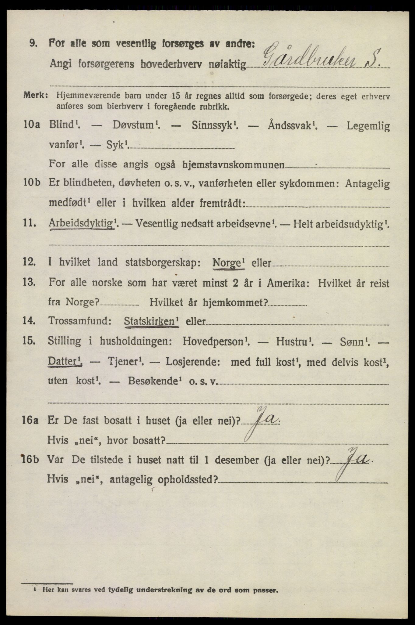 SAKO, 1920 census for Brunlanes, 1920, p. 3346