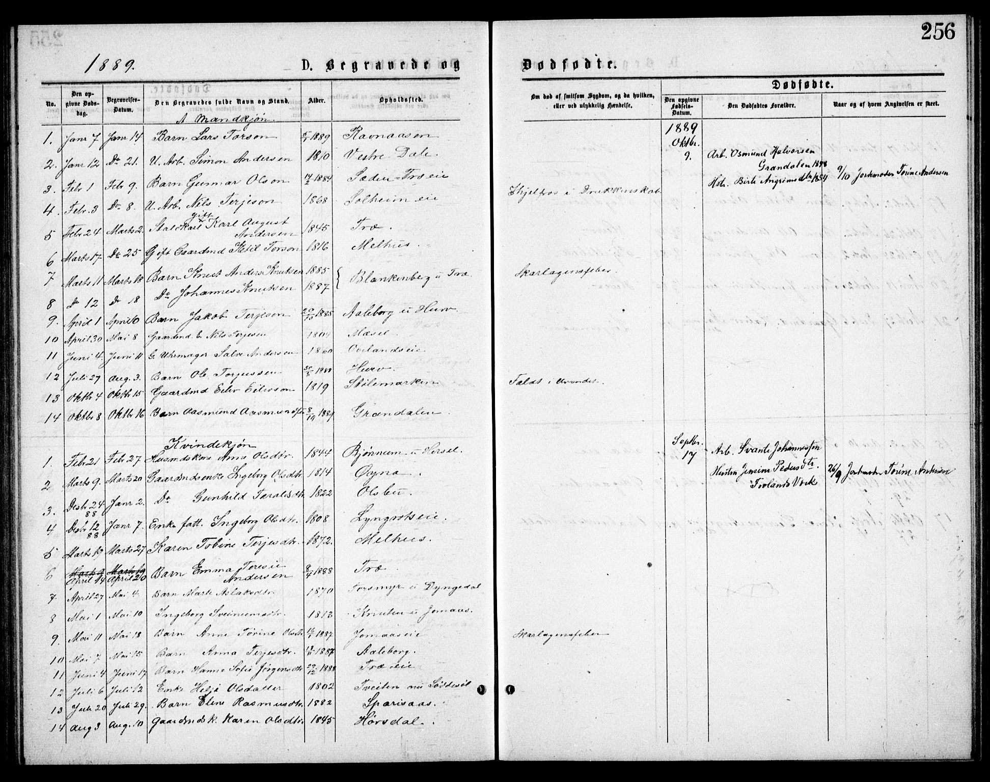 Froland sokneprestkontor, SAK/1111-0013/F/Fb/L0009: Parish register (copy) no. B 9, 1875-1893, p. 256