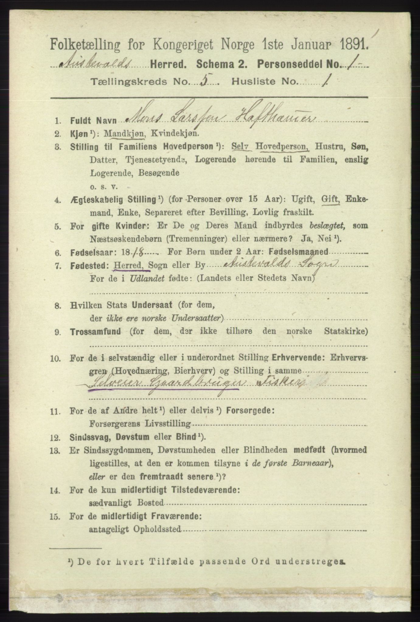 RA, 1891 census for 1244 Austevoll, 1891, p. 2004