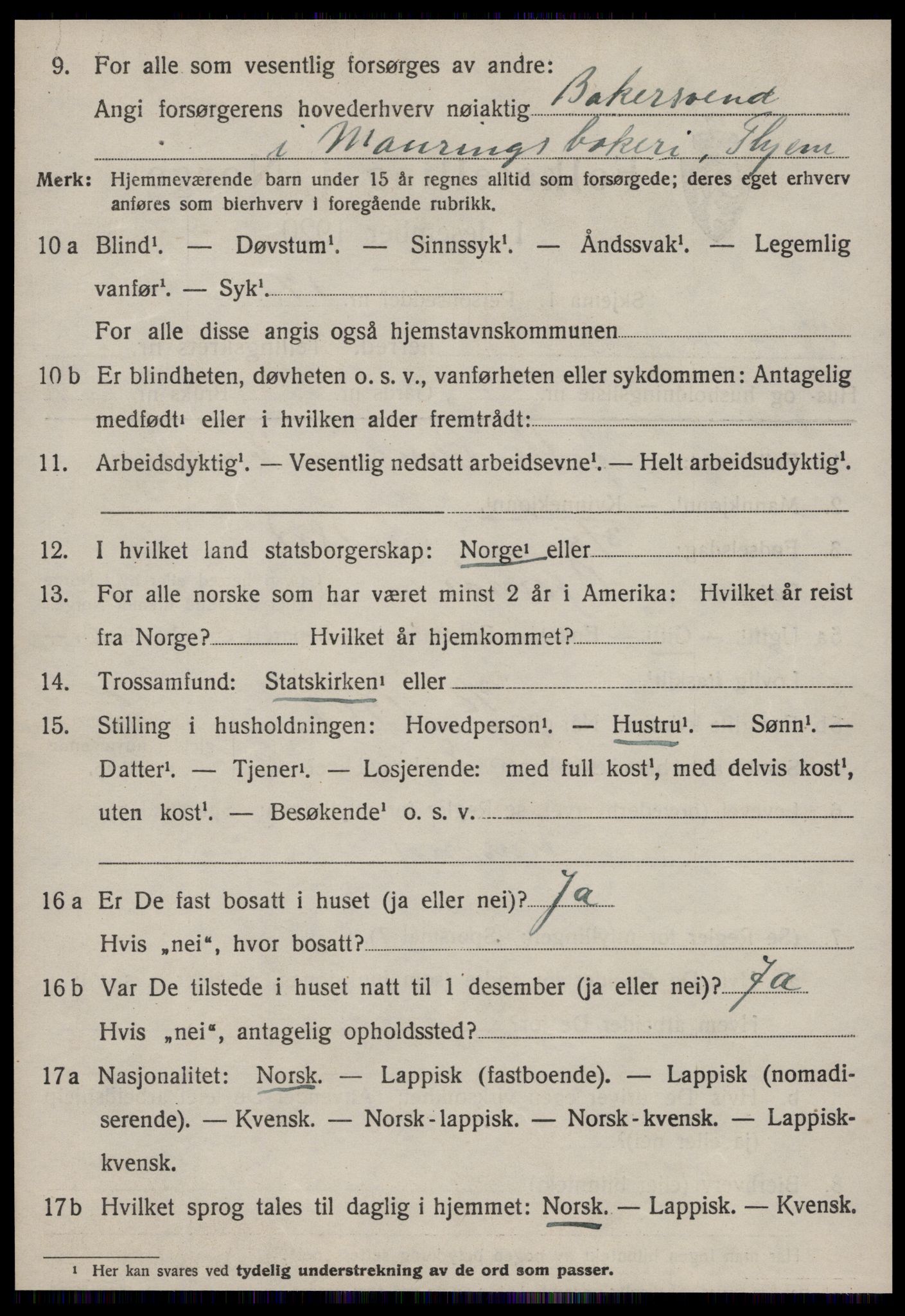 SAT, 1920 census for Strinda, 1920, p. 17573