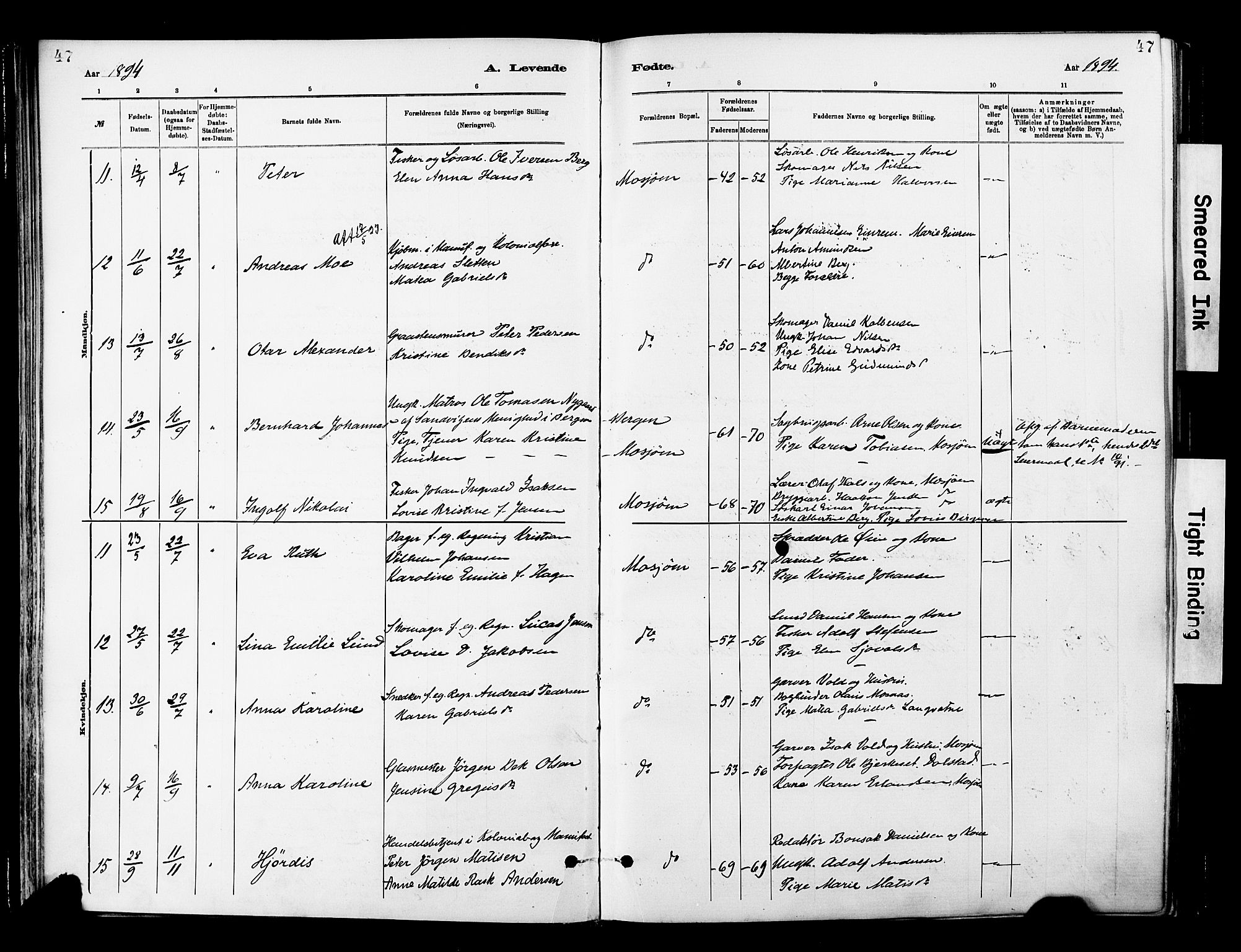 Ministerialprotokoller, klokkerbøker og fødselsregistre - Nordland, AV/SAT-A-1459/820/L0296: Parish register (official) no. 820A17, 1880-1903, p. 47