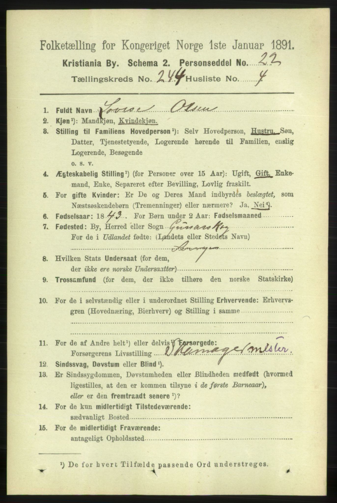 RA, 1891 census for 0301 Kristiania, 1891, p. 148513