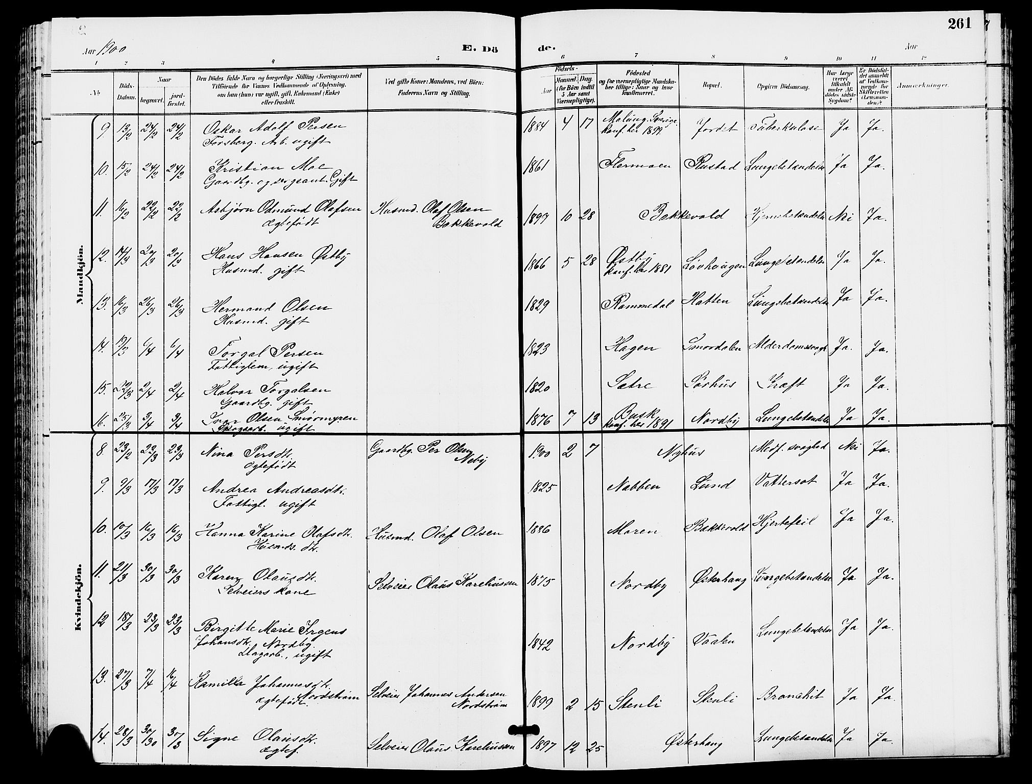 Trysil prestekontor, SAH/PREST-046/H/Ha/Hab/L0006: Parish register (copy) no. 6, 1896-1912, p. 261