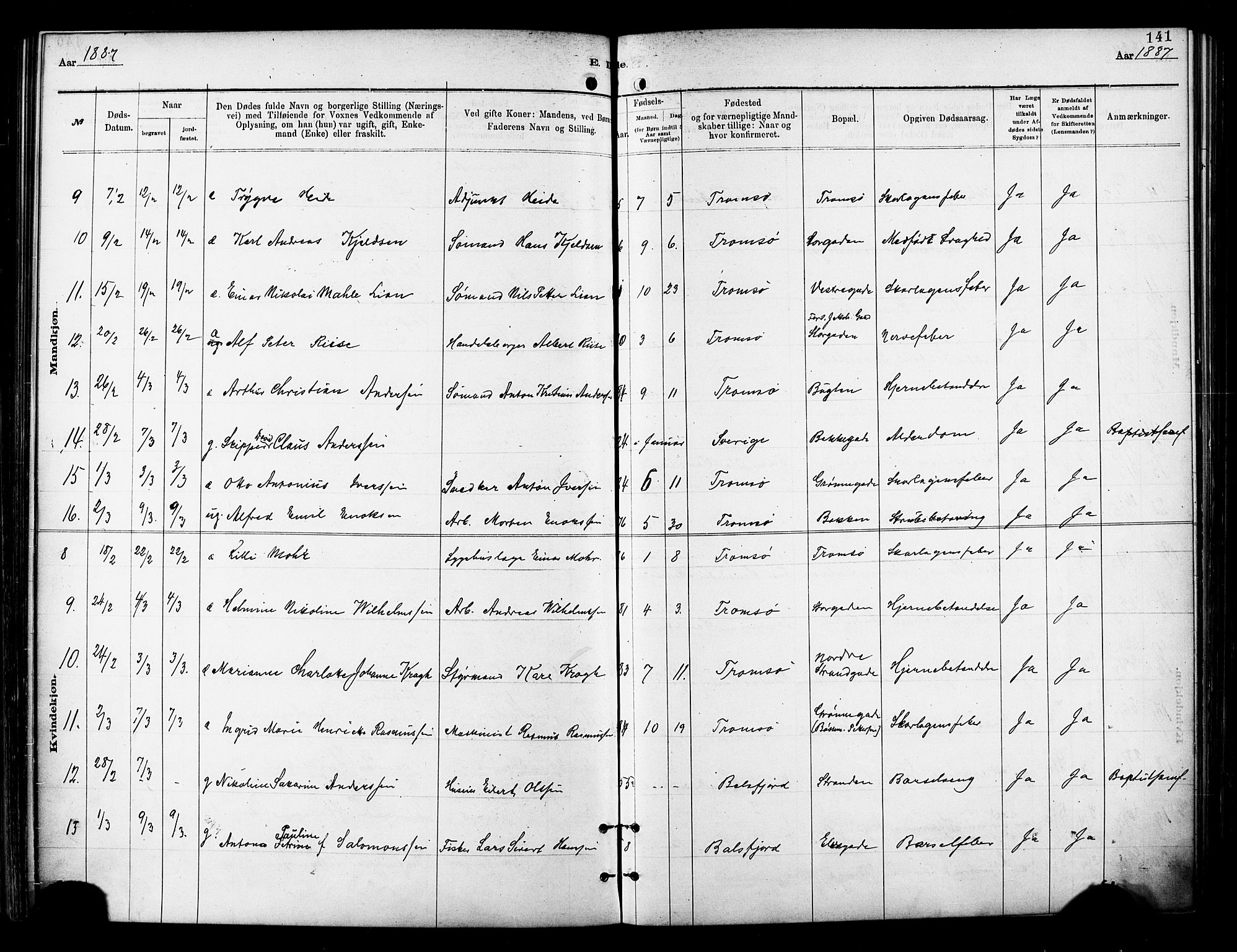 Tromsø sokneprestkontor/stiftsprosti/domprosti, SATØ/S-1343/G/Ga/L0014kirke: Parish register (official) no. 14, 1878-1888, p. 141