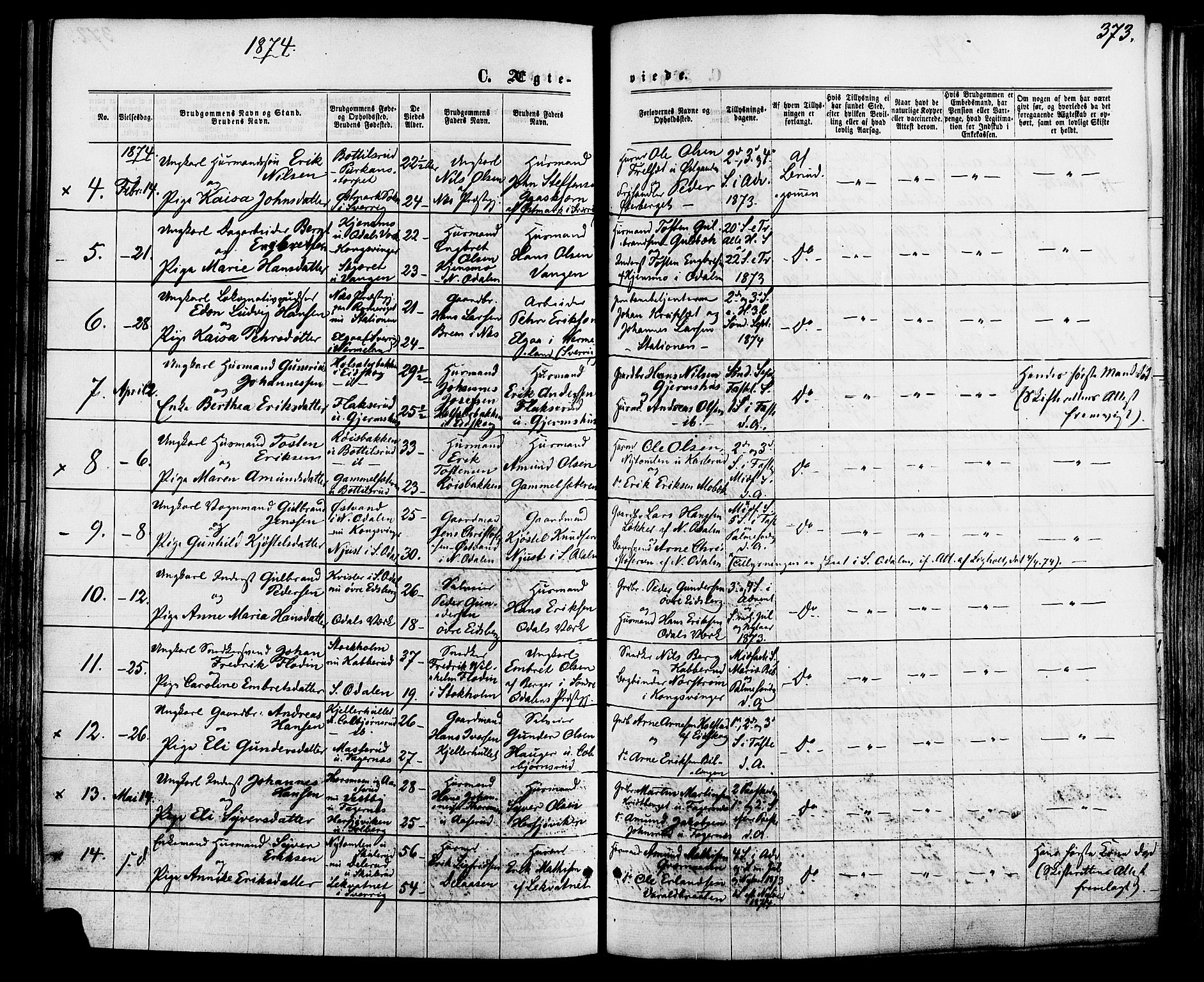 Vinger prestekontor, AV/SAH-PREST-024/H/Ha/Haa/L0012: Parish register (official) no. 12, 1871-1880, p. 373