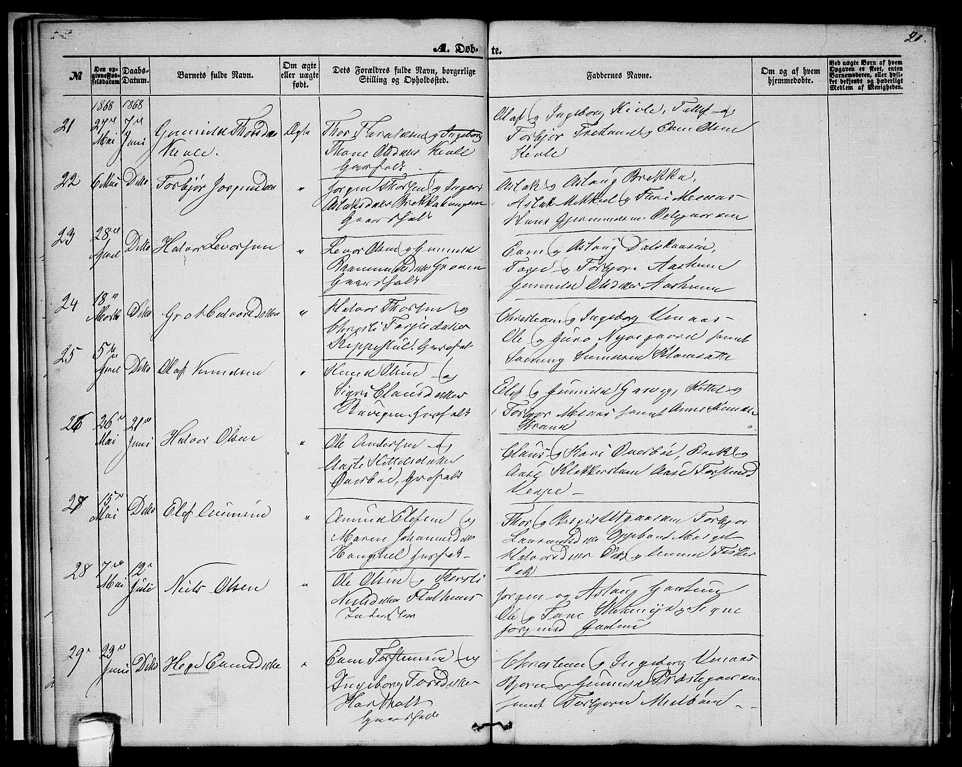Seljord kirkebøker, AV/SAKO-A-20/G/Ga/L0003: Parish register (copy) no. I 3, 1866-1873, p. 20