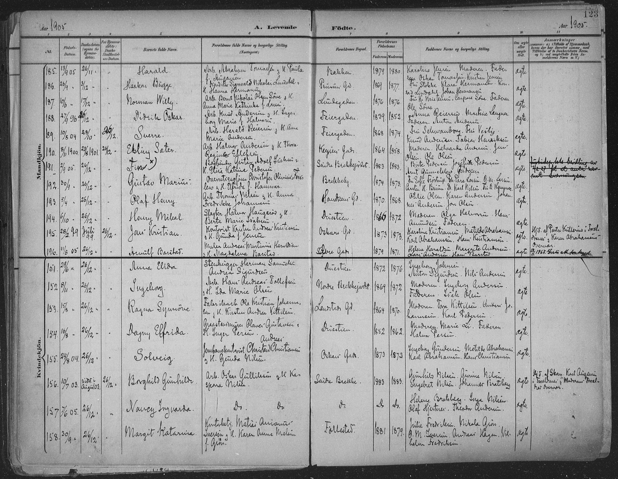 Skien kirkebøker, SAKO/A-302/F/Fa/L0011: Parish register (official) no. 11, 1900-1907, p. 123