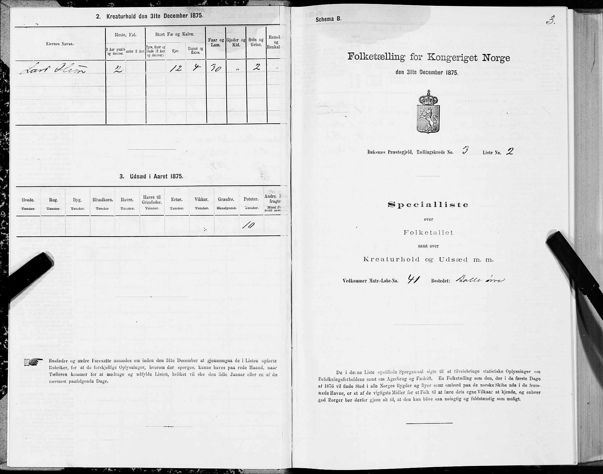 SAT, 1875 census for 1860P Buksnes, 1875, p. 2003