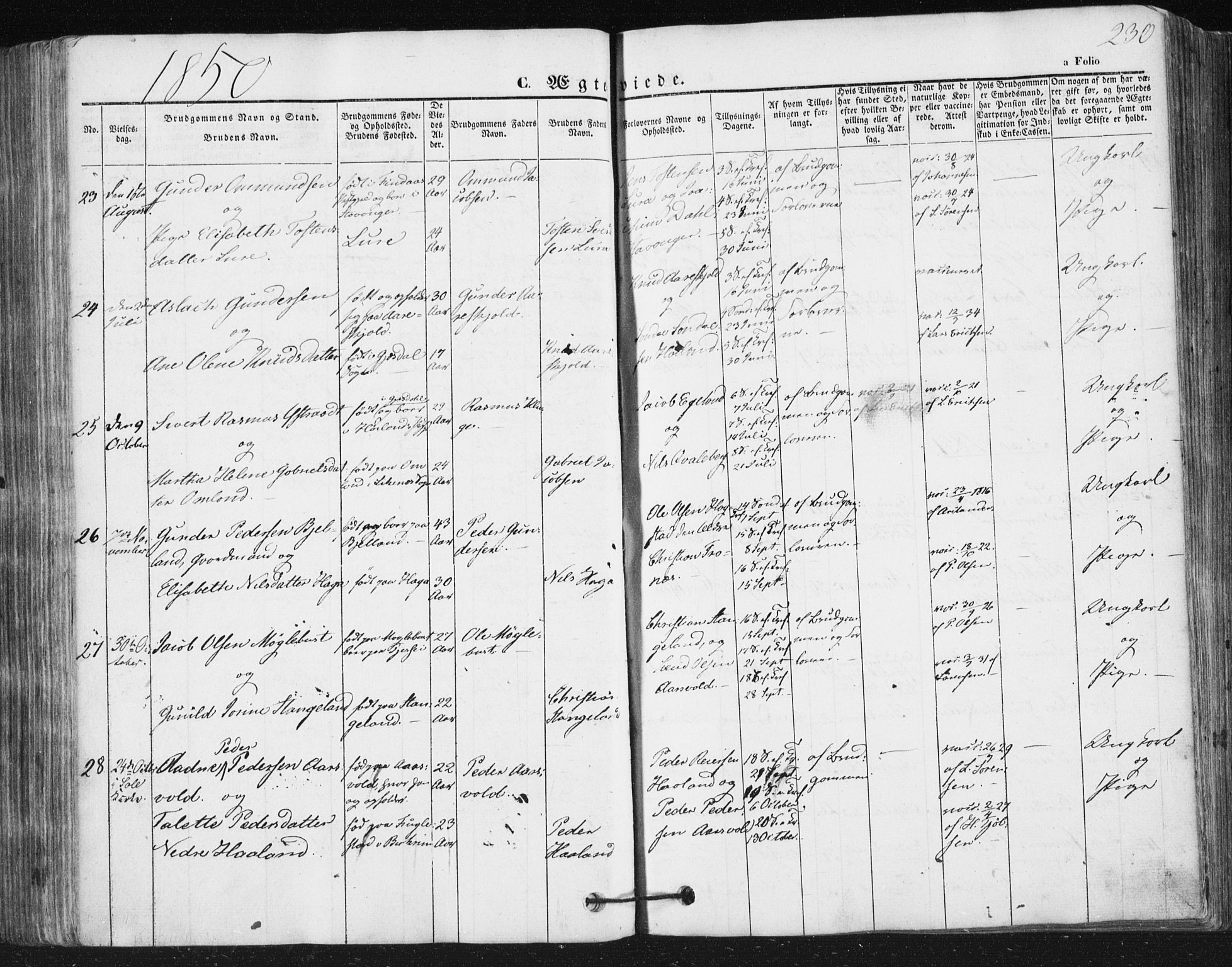 Høyland sokneprestkontor, SAST/A-101799/001/30BA/L0008: Parish register (official) no. A 8, 1841-1856, p. 230