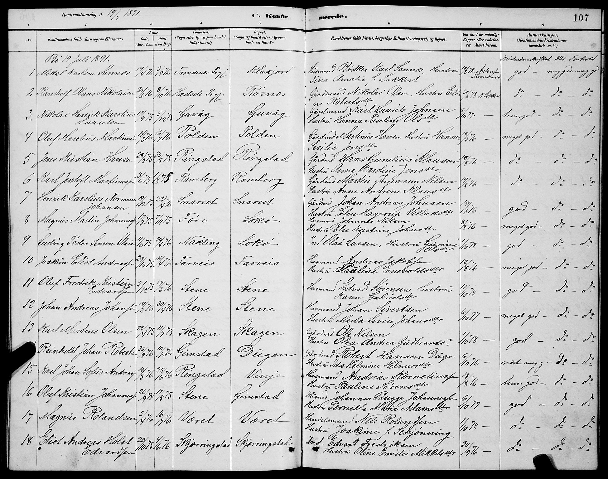 Ministerialprotokoller, klokkerbøker og fødselsregistre - Nordland, AV/SAT-A-1459/891/L1315: Parish register (copy) no. 891C04, 1886-1893, p. 107