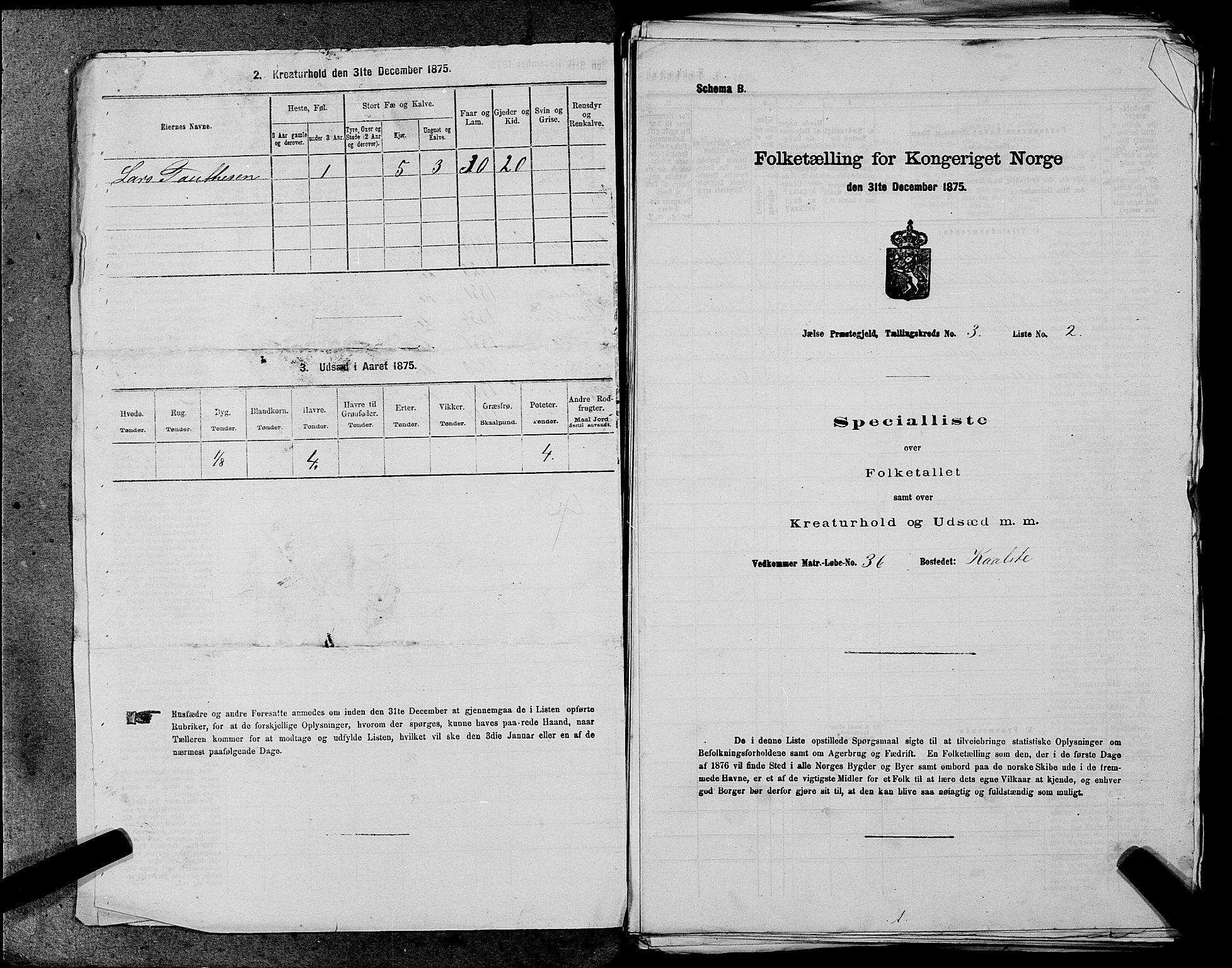 SAST, 1875 census for 1138P Jelsa, 1875, p. 187