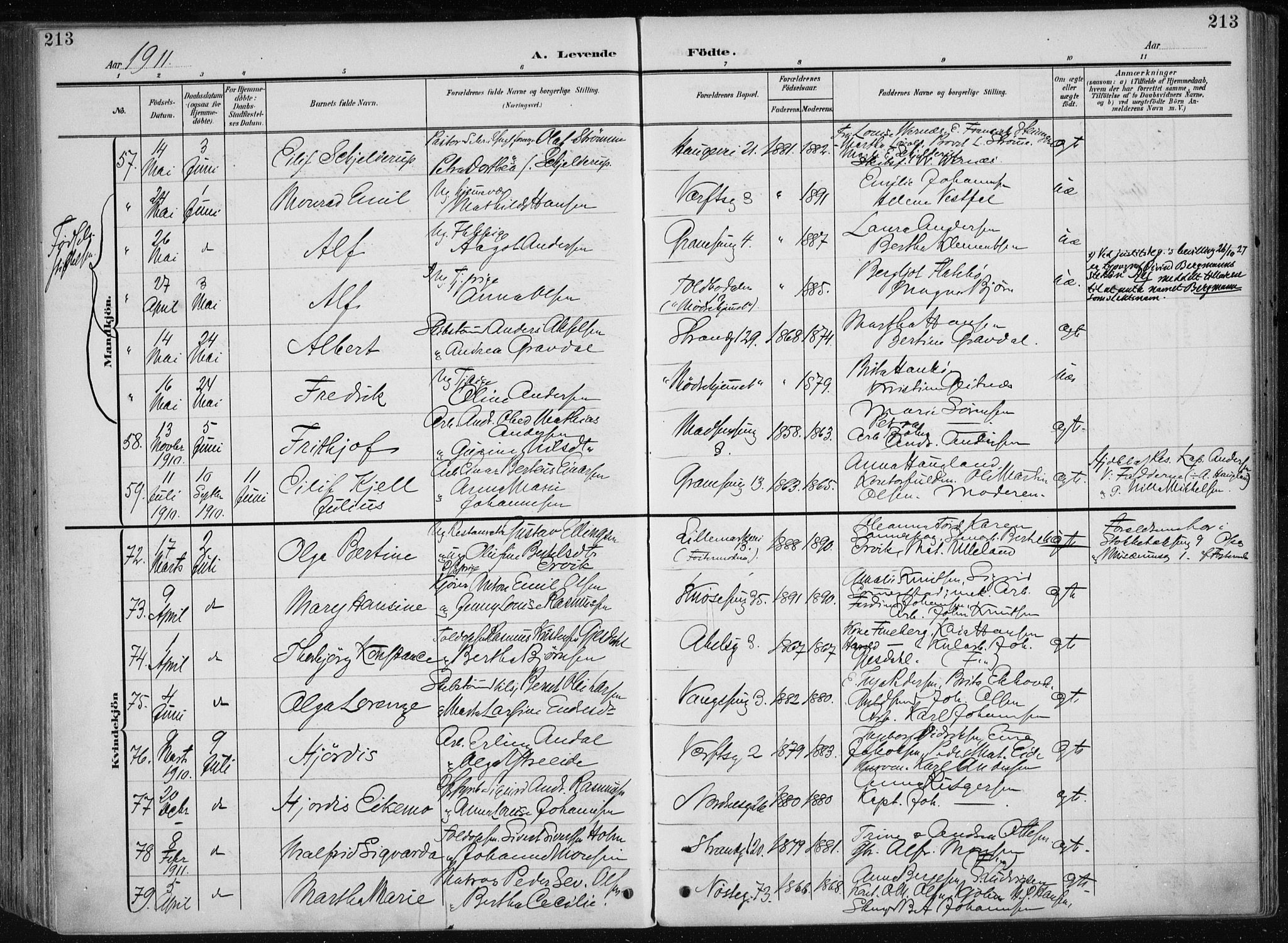 Nykirken Sokneprestembete, AV/SAB-A-77101/H/Haa/L0019: Parish register (official) no. B 7, 1904-1916, p. 213