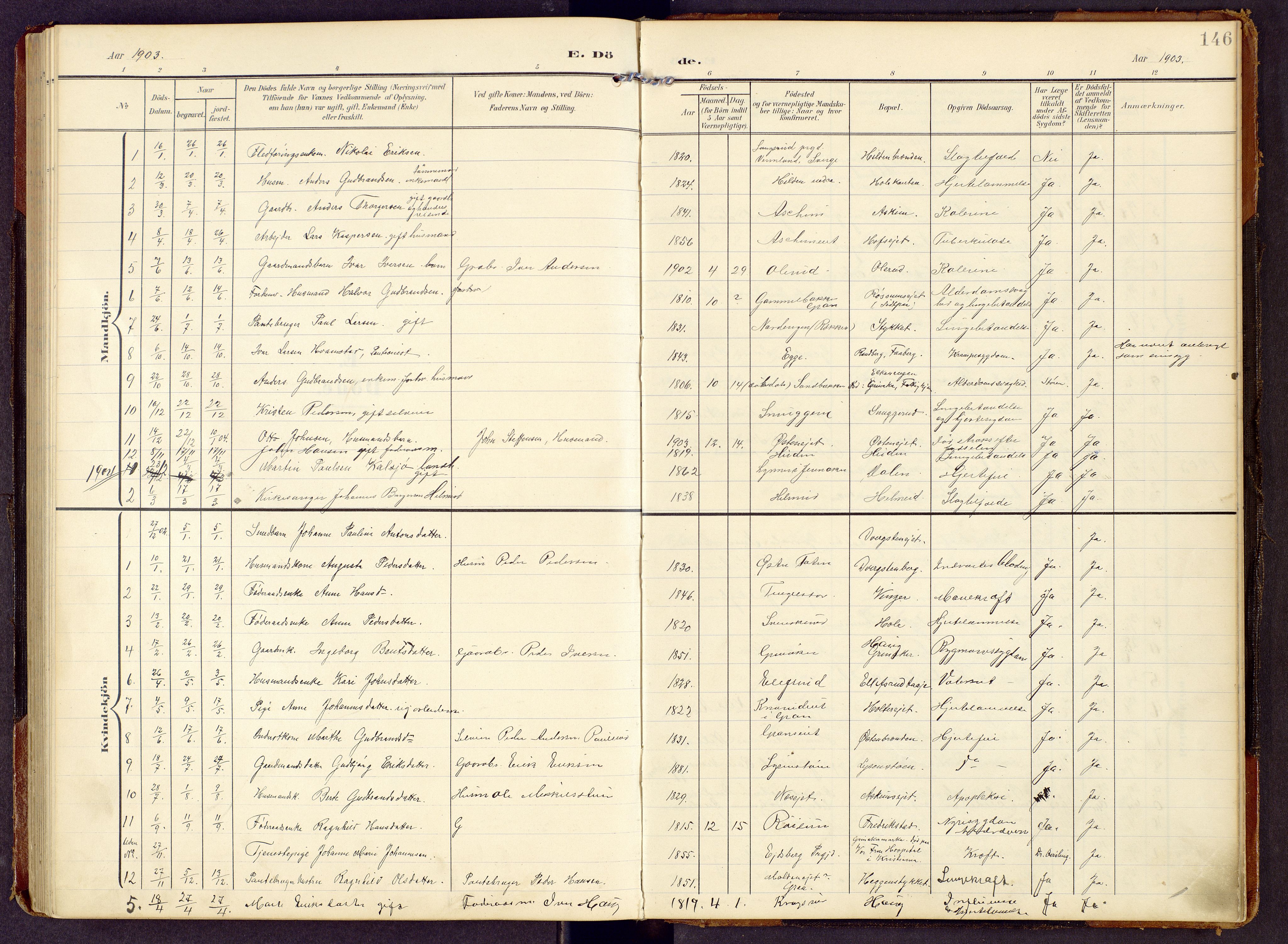 Brandbu prestekontor, SAH/PREST-114/H/Ha/Hab/L0009: Parish register (copy) no. 9, 1903-1916, p. 146
