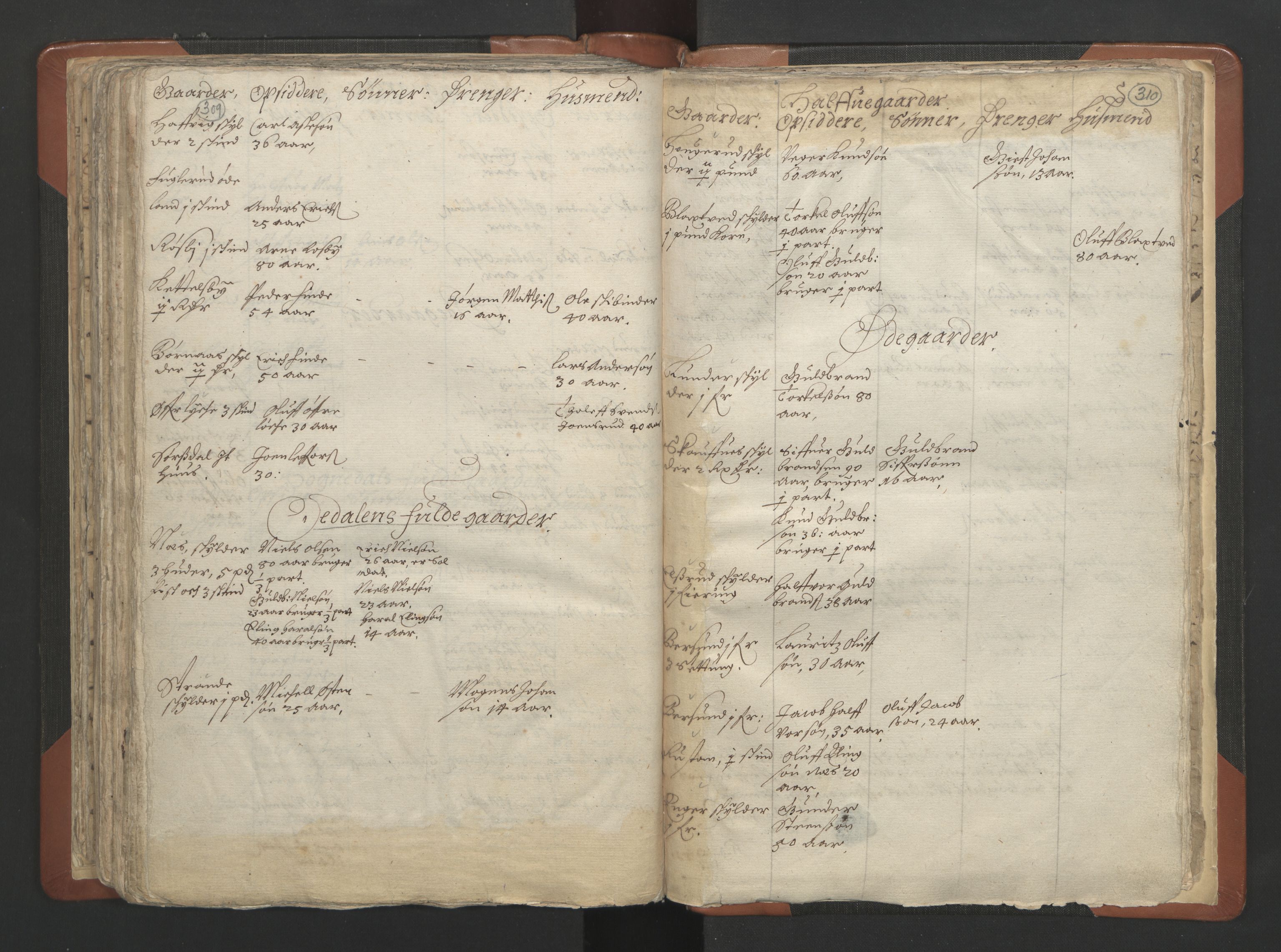 RA, Vicar's Census 1664-1666, no. 7: Hadeland deanery, 1664-1666, p. 309-310