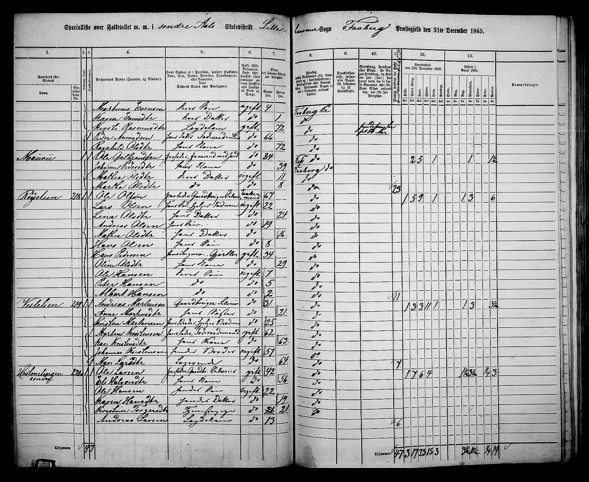 RA, 1865 census for Fåberg/Fåberg og Lillehammer, 1865, p. 135