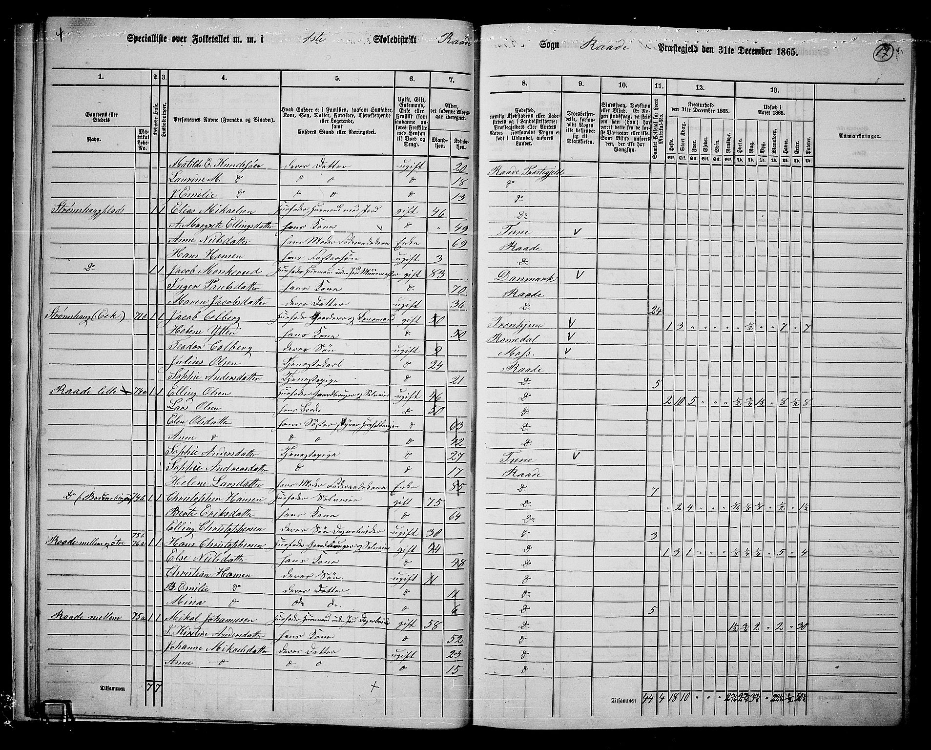 RA, 1865 census for Råde, 1865, p. 15