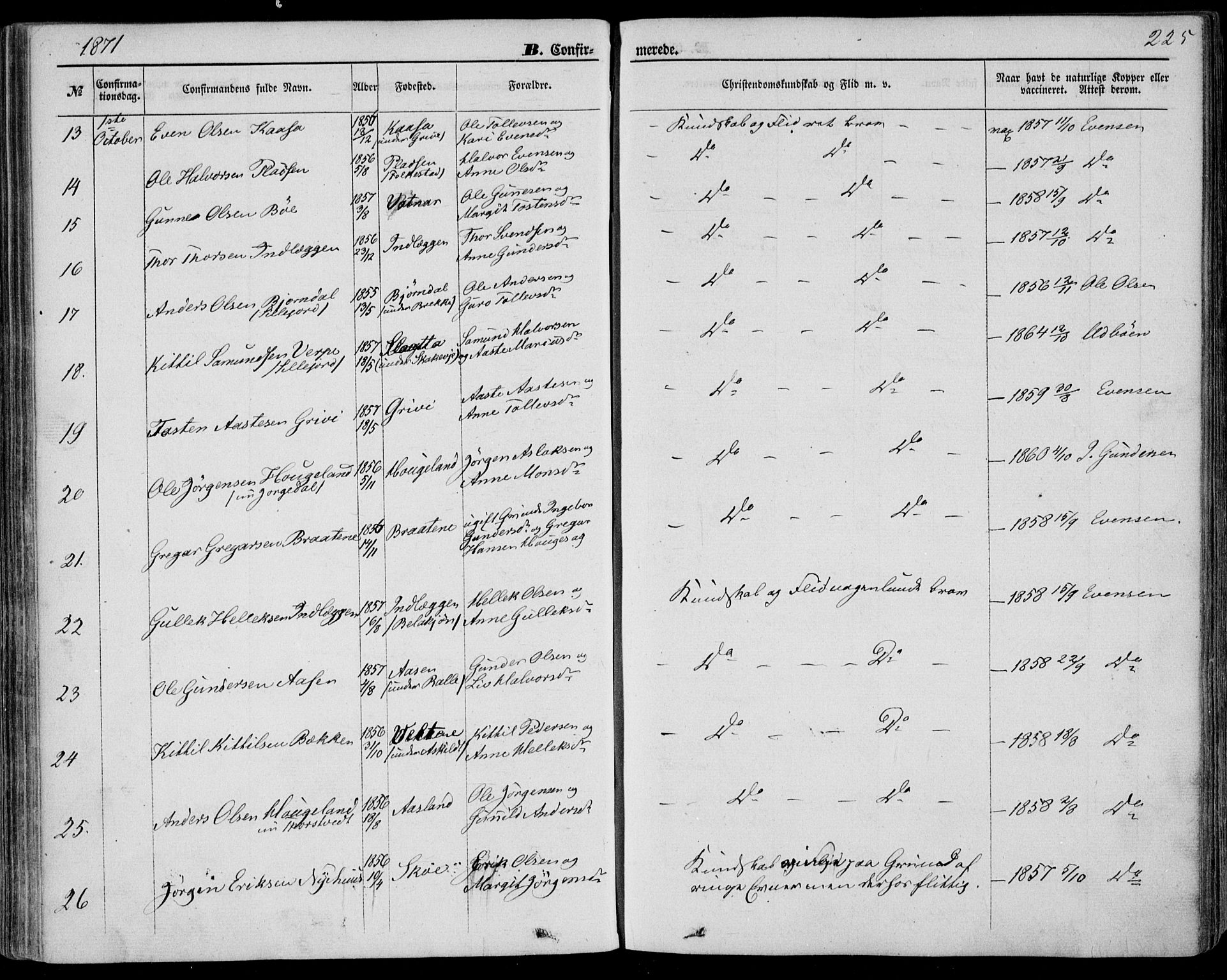 Bø kirkebøker, SAKO/A-257/F/Fa/L0009: Parish register (official) no. 9, 1862-1879, p. 225