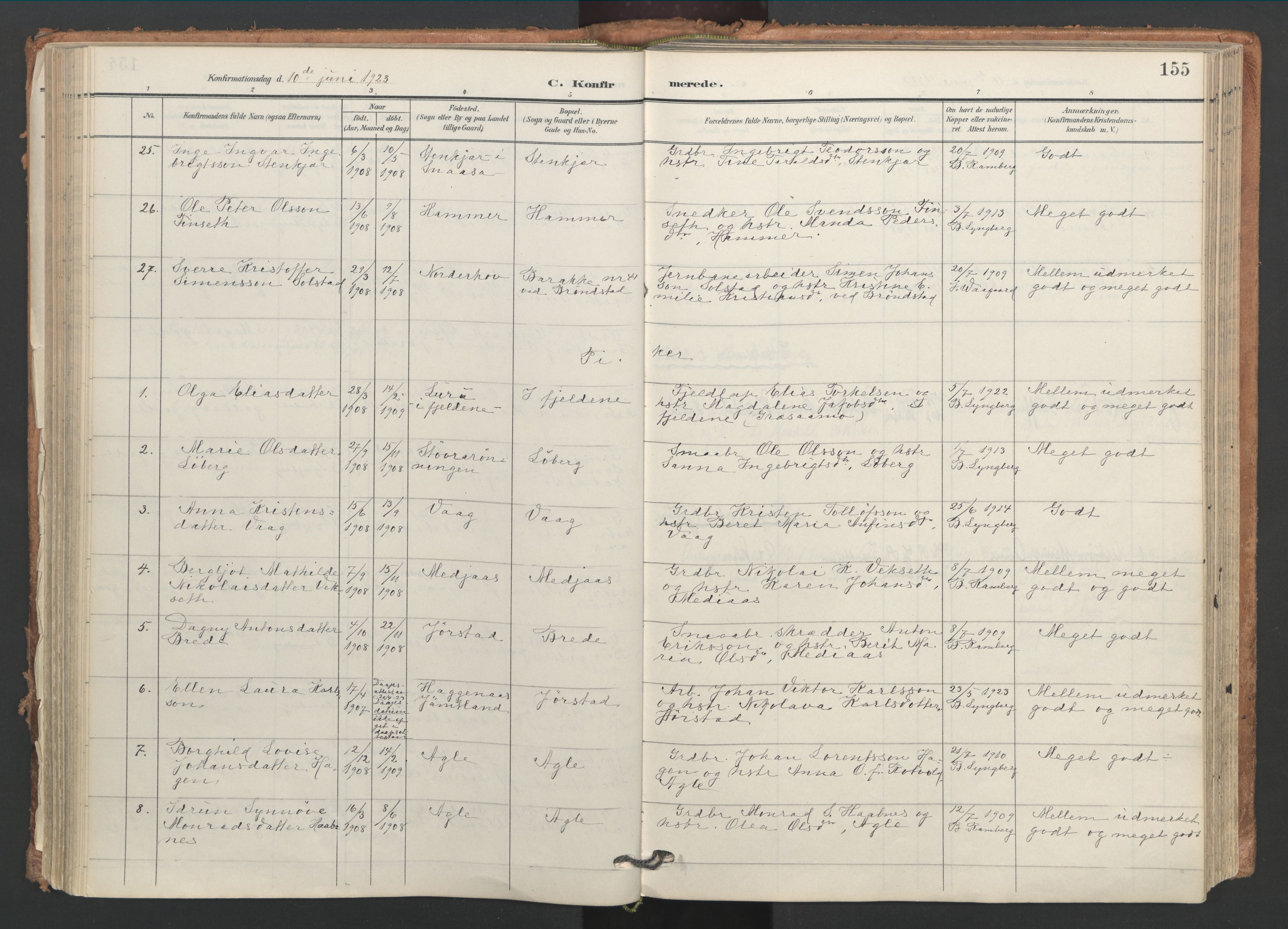 Ministerialprotokoller, klokkerbøker og fødselsregistre - Nord-Trøndelag, AV/SAT-A-1458/749/L0477: Parish register (official) no. 749A11, 1902-1927, p. 155