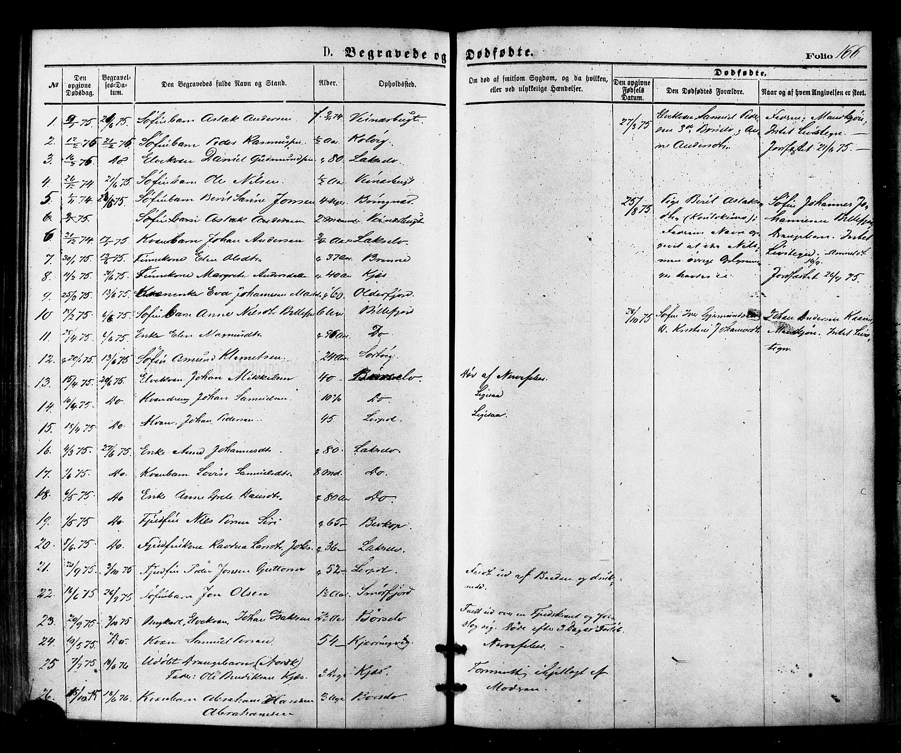 Kistrand/Porsanger sokneprestembete, SATØ/S-1351/H/Ha/L0006.kirke: Parish register (official) no. 6, 1875-1880, p. 166