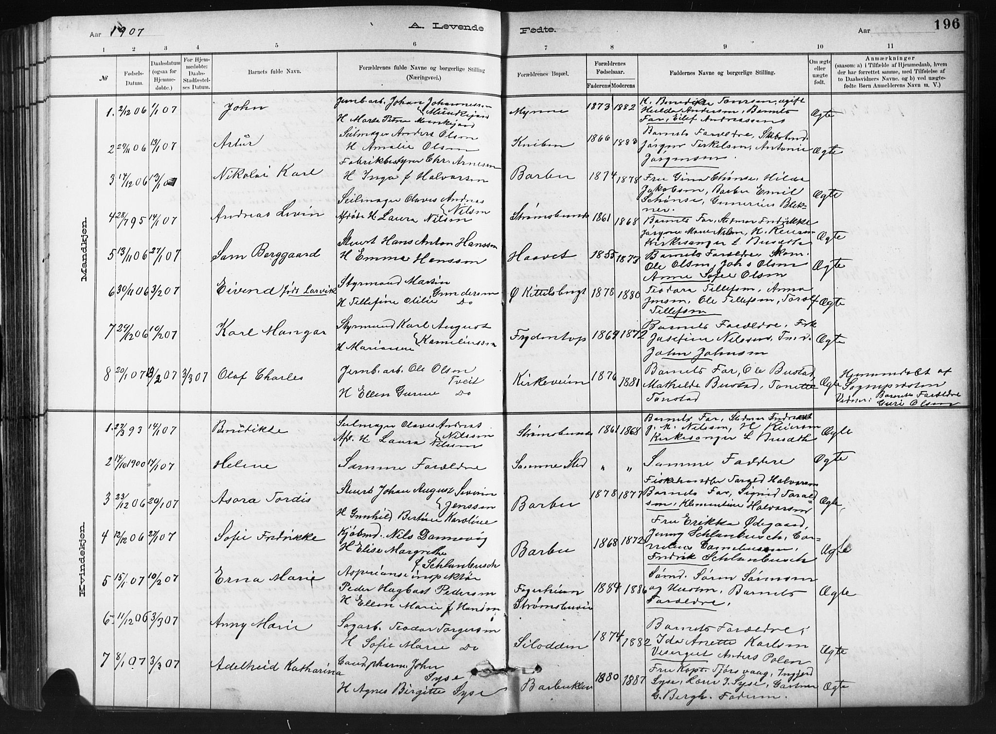 Barbu sokneprestkontor, SAK/1111-0003/F/Fb/L0002: Parish register (copy) no. B 2, 1890-1922, p. 196