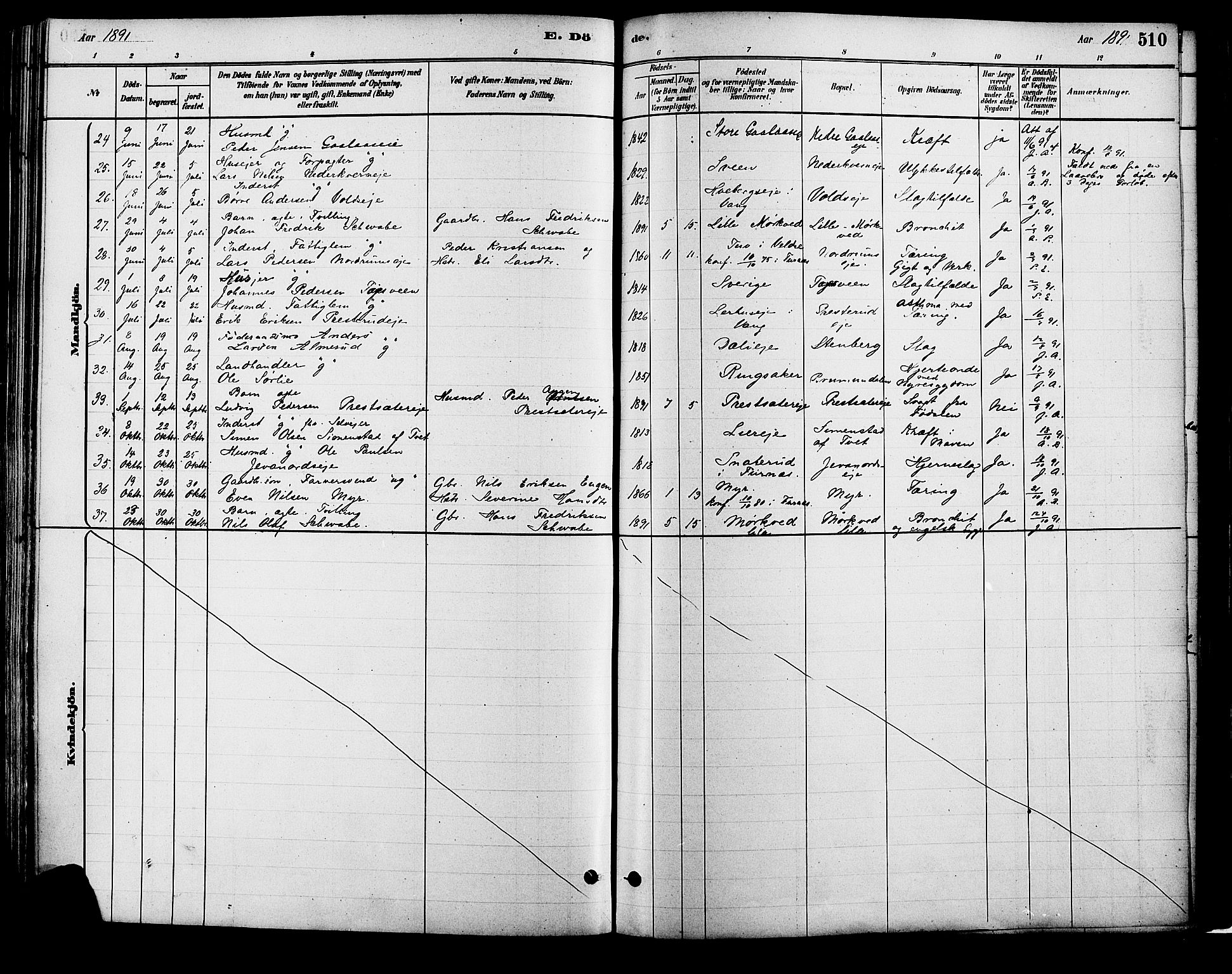 Vang prestekontor, Hedmark, AV/SAH-PREST-008/H/Ha/Haa/L0018B: Parish register (official) no. 18B, 1880-1906, p. 510