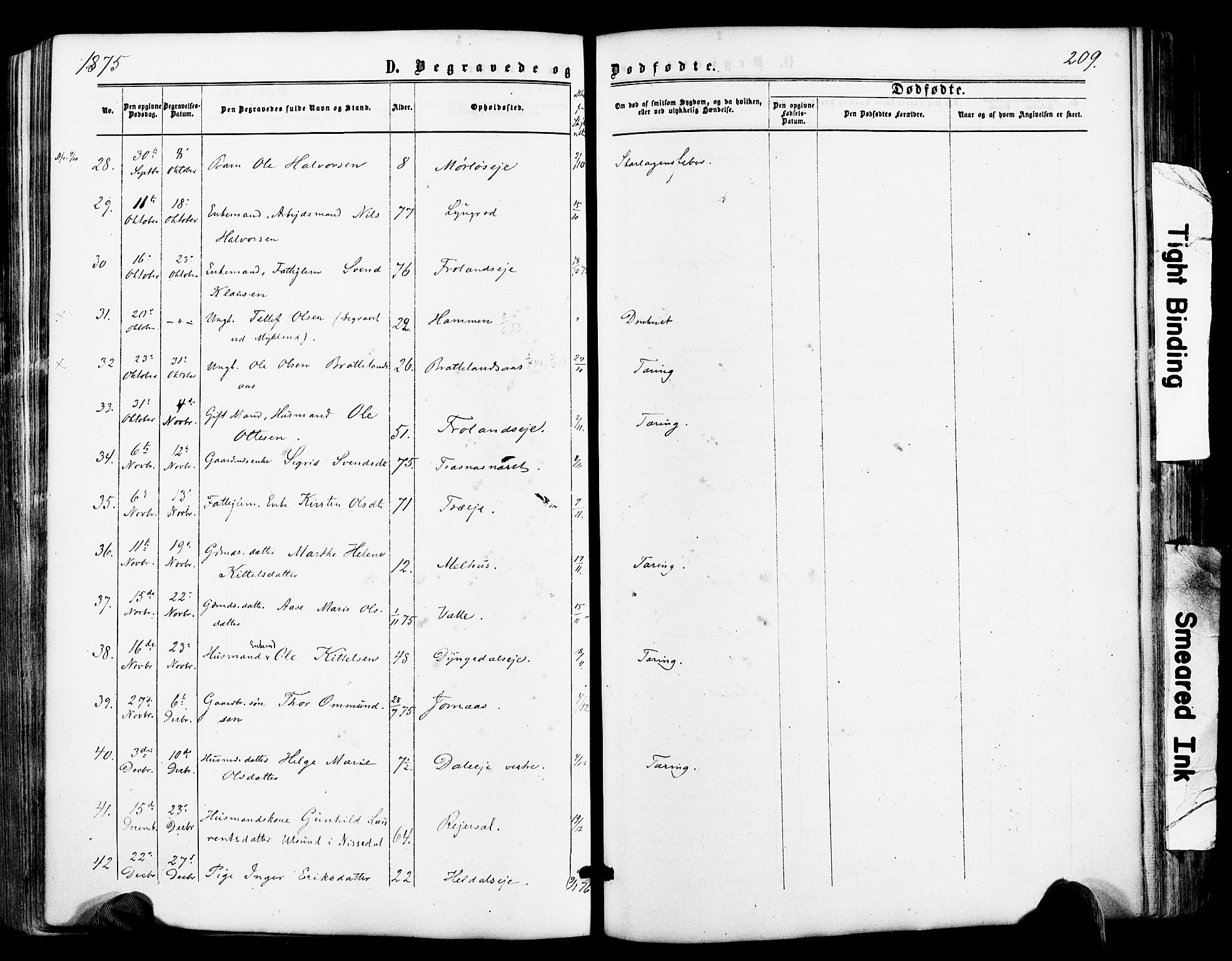 Froland sokneprestkontor, AV/SAK-1111-0013/F/Fa/L0003: Parish register (official) no. A 3, 1864-1881, p. 209