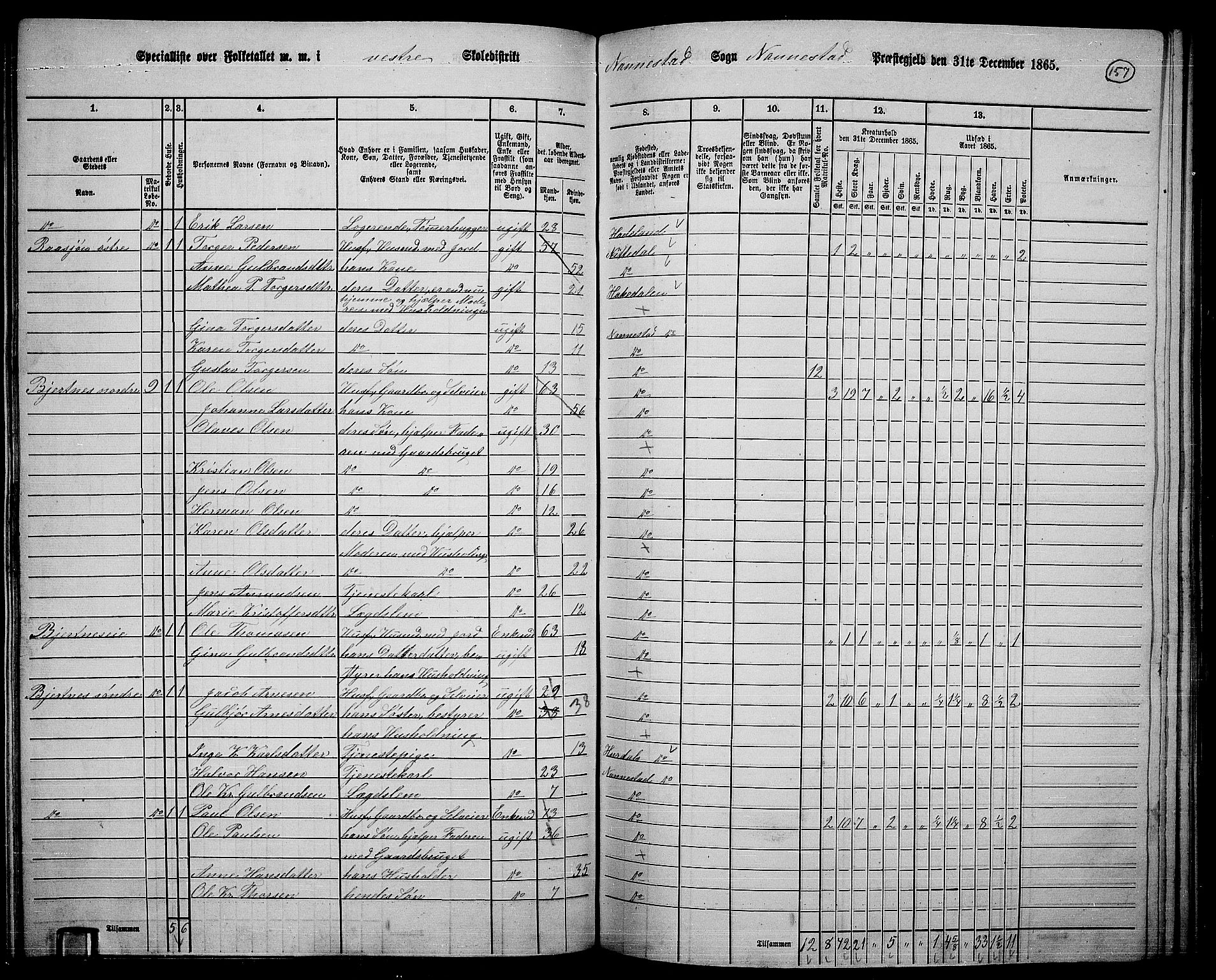 RA, 1865 census for Nannestad, 1865, p. 40