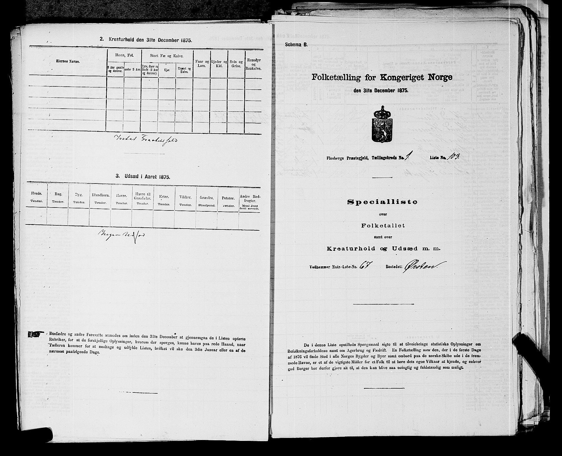 SAKO, 1875 census for 0631P Flesberg, 1875, p. 264