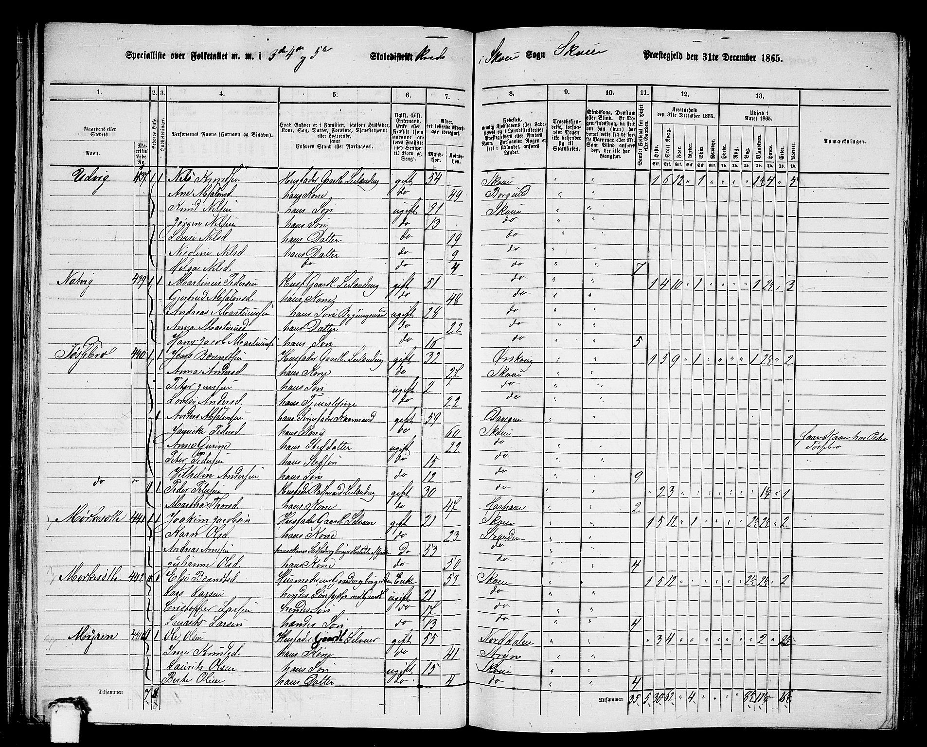 RA, 1865 census for Skodje, 1865, p. 42