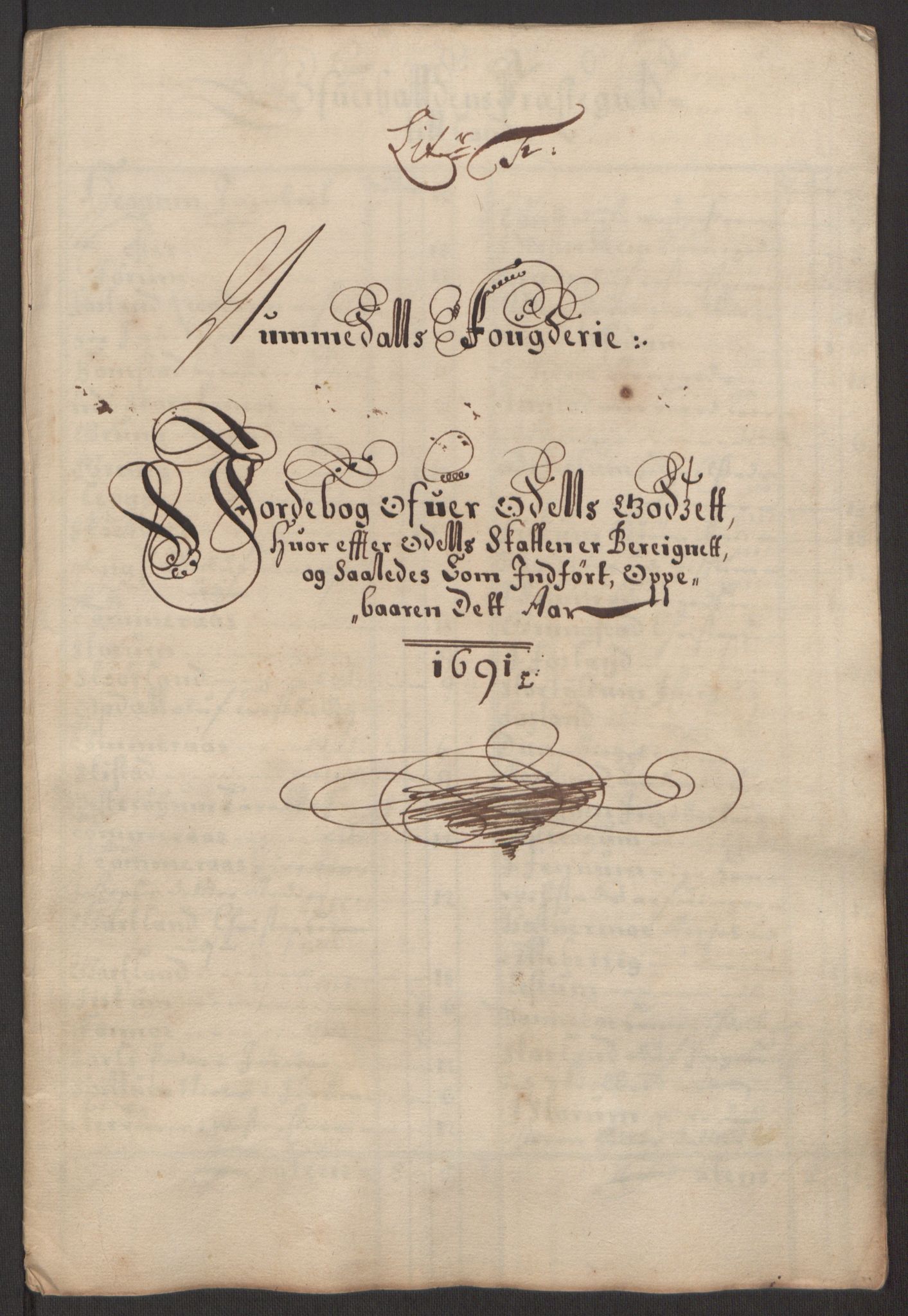 Rentekammeret inntil 1814, Reviderte regnskaper, Fogderegnskap, RA/EA-4092/R64/L4423: Fogderegnskap Namdal, 1690-1691, p. 223