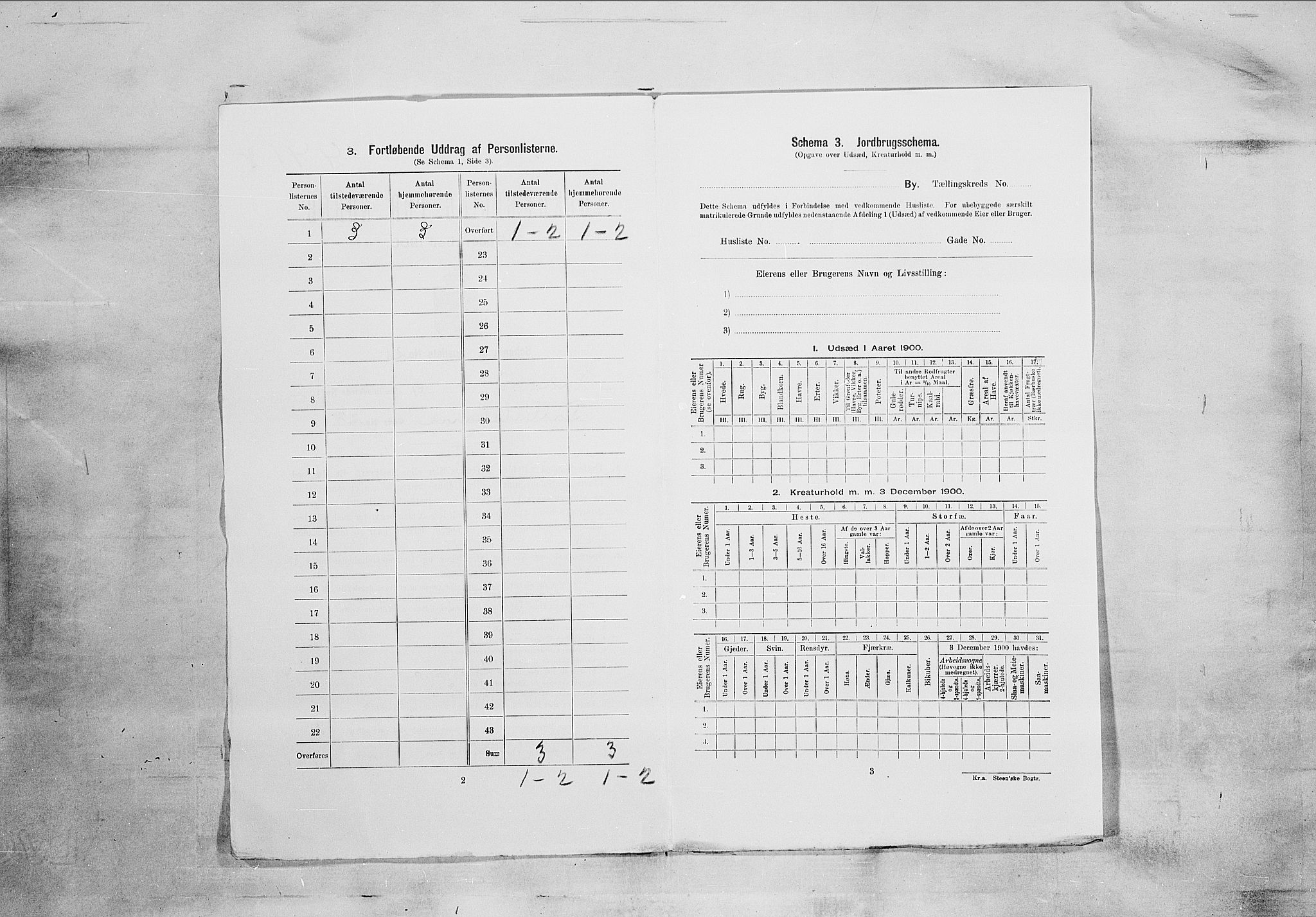 SAKO, 1900 census for Kragerø, 1900, p. 3775