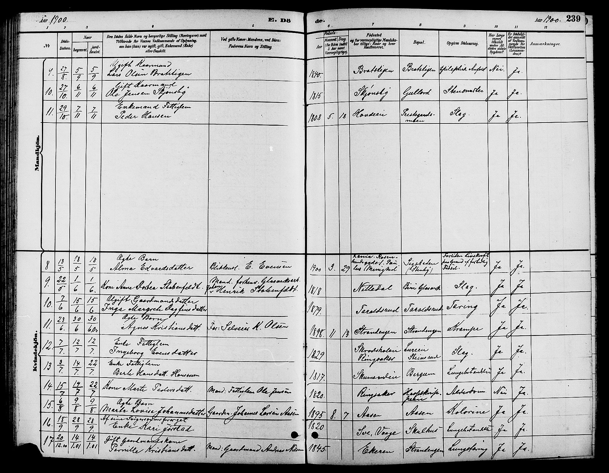 Biri prestekontor, SAH/PREST-096/H/Ha/Hab/L0004: Parish register (copy) no. 4, 1892-1909, p. 239